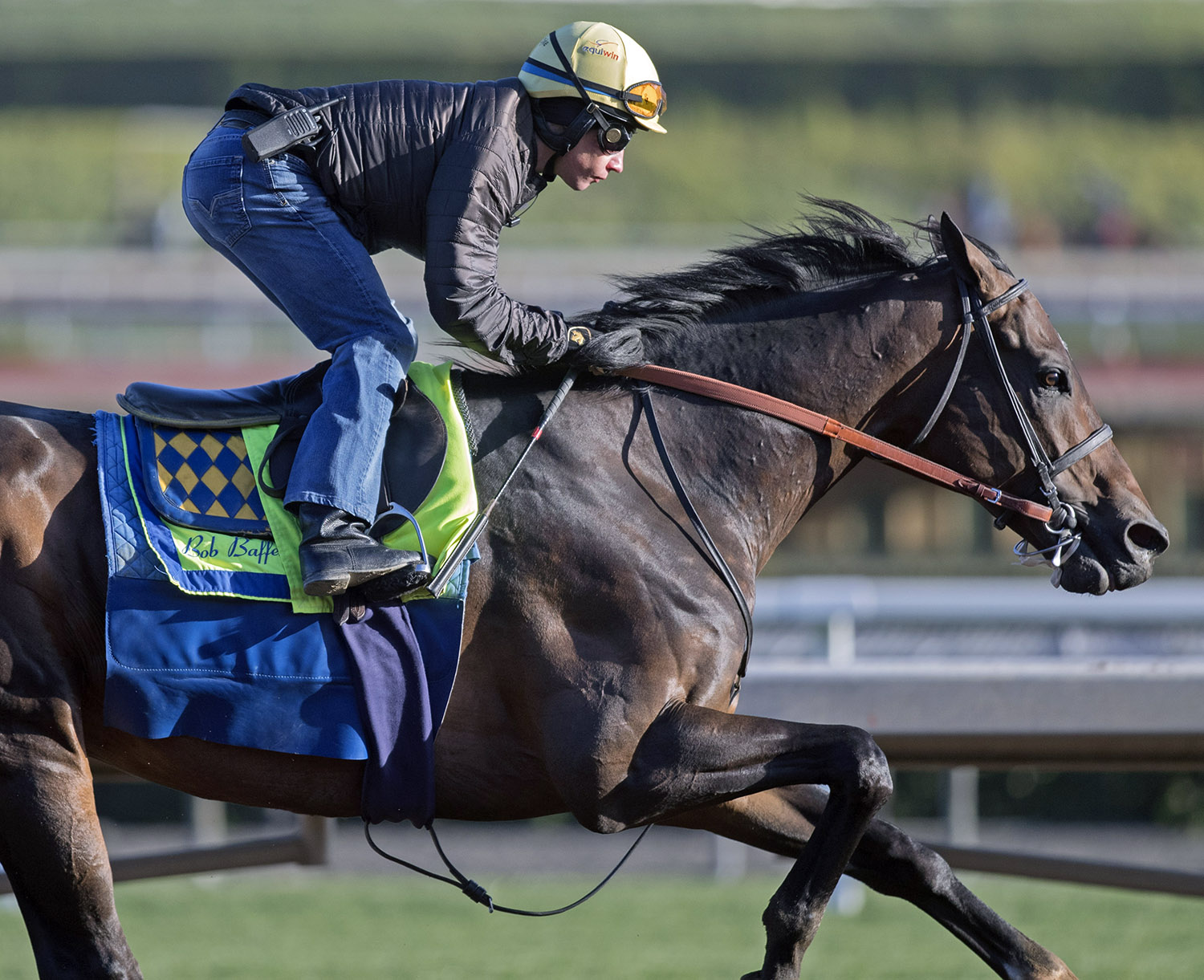 Mubtaahij trains at Santa Anita in February 2018