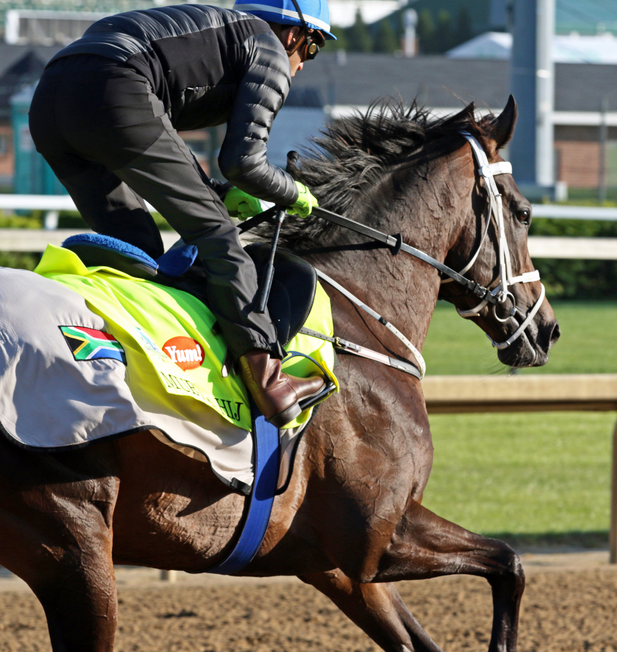 Mubtaahij trains at Churchill Downs