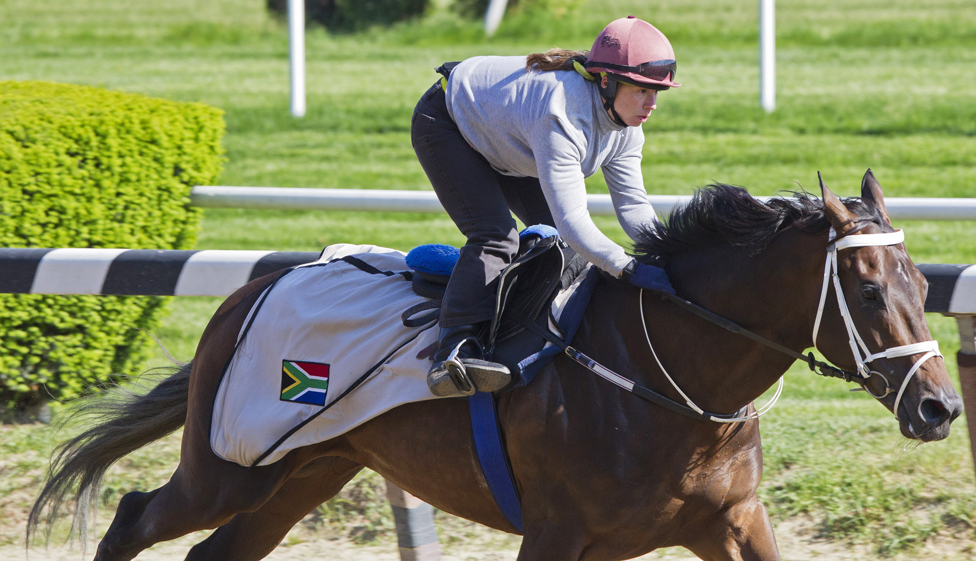 Mubtaahij at Belmont on May 22