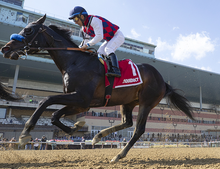 Much Better finishes second in the Bay Shore Stakes