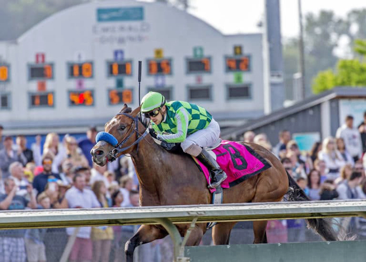 Mucho Amor wins the 2019 Seattle Slew Stakes at Emerald Downs
