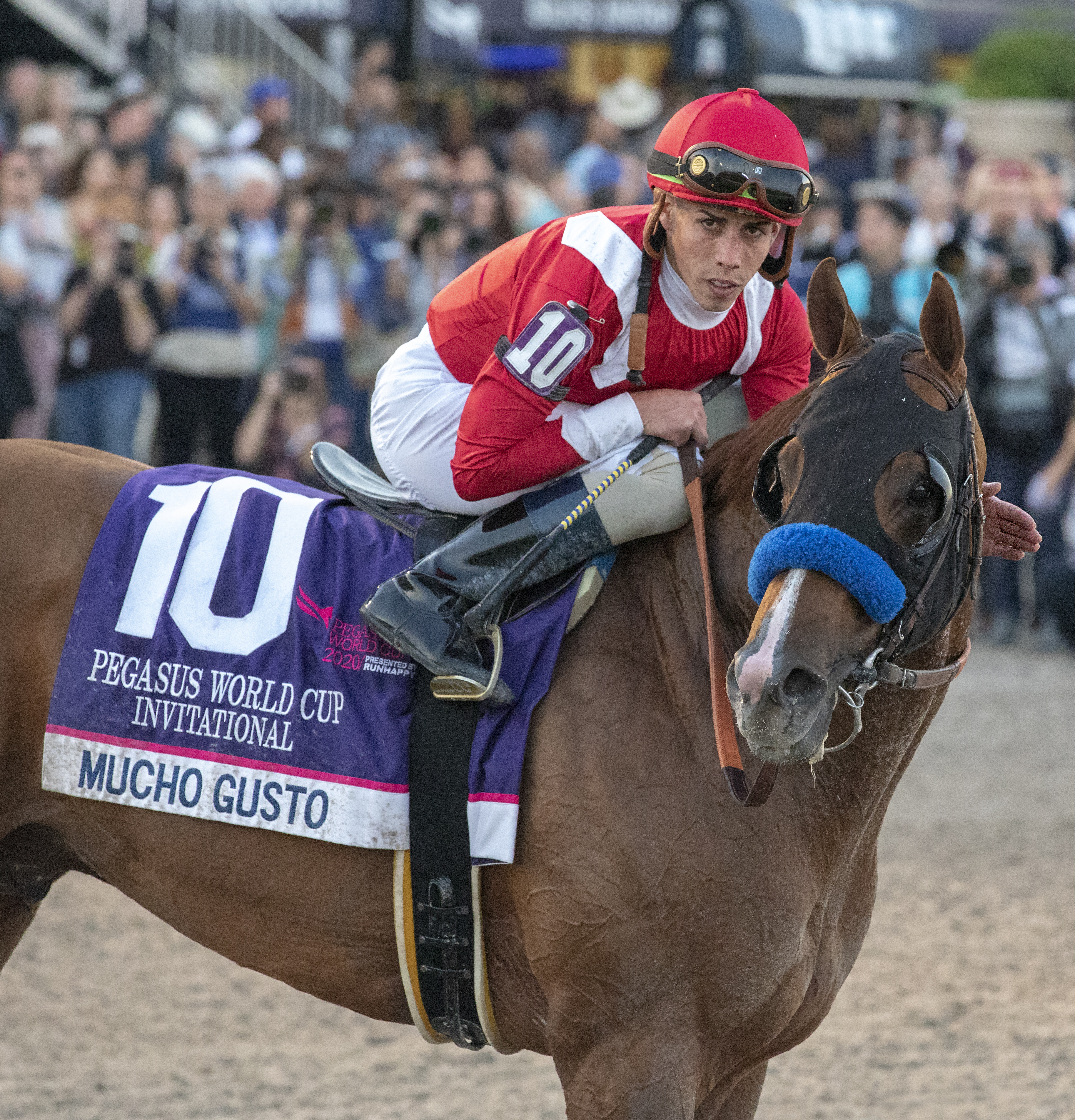 Mucho Gusto following victory in the 2020 Pegasus World Cup