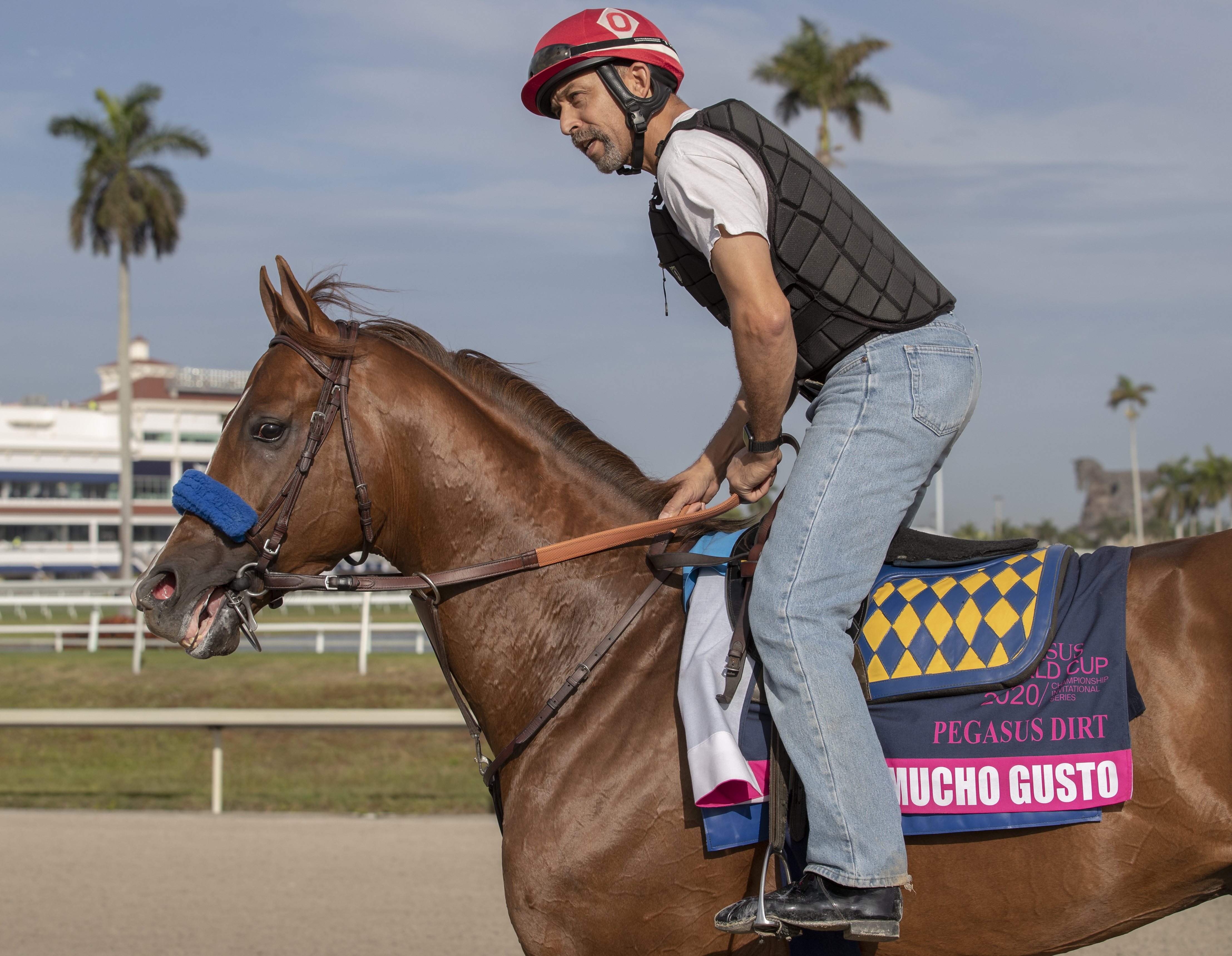 Mucho Gusto trains at Gulfstream Park on 1.24.20