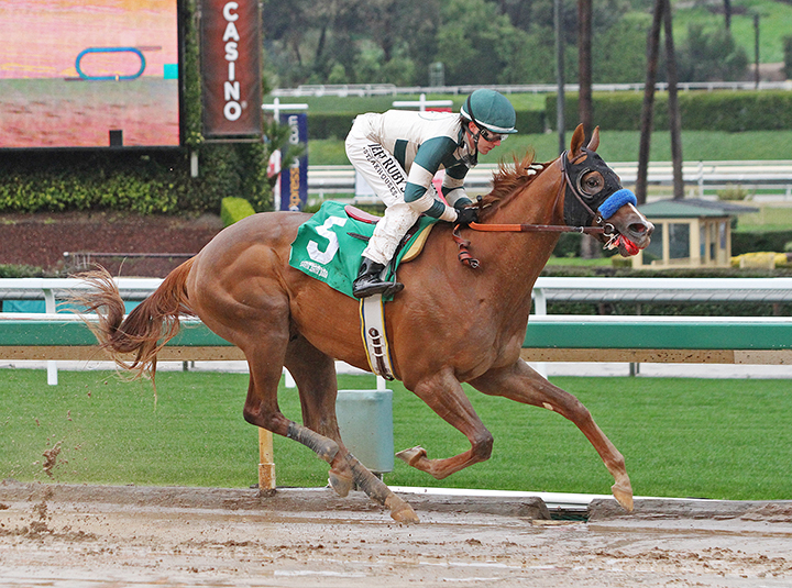 Mucho Gusto wins the Robert B. Lewis Stakes
