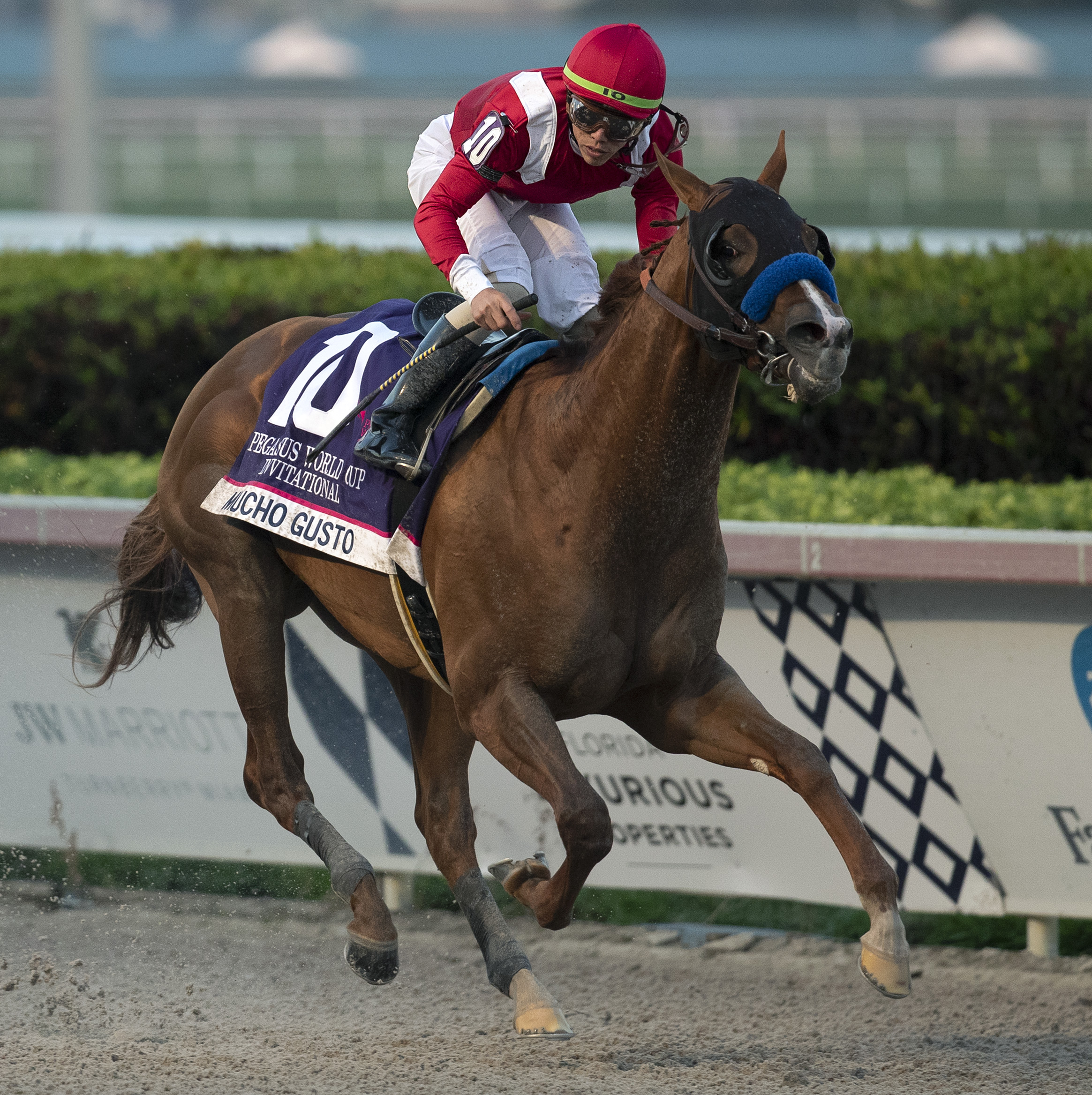 Mucho Gusto wins the 2020 Pegasus World Cup