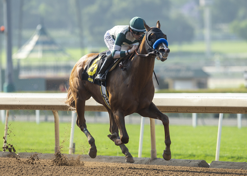 Mucho Gusto wins the 2019 Affirmed Stakes