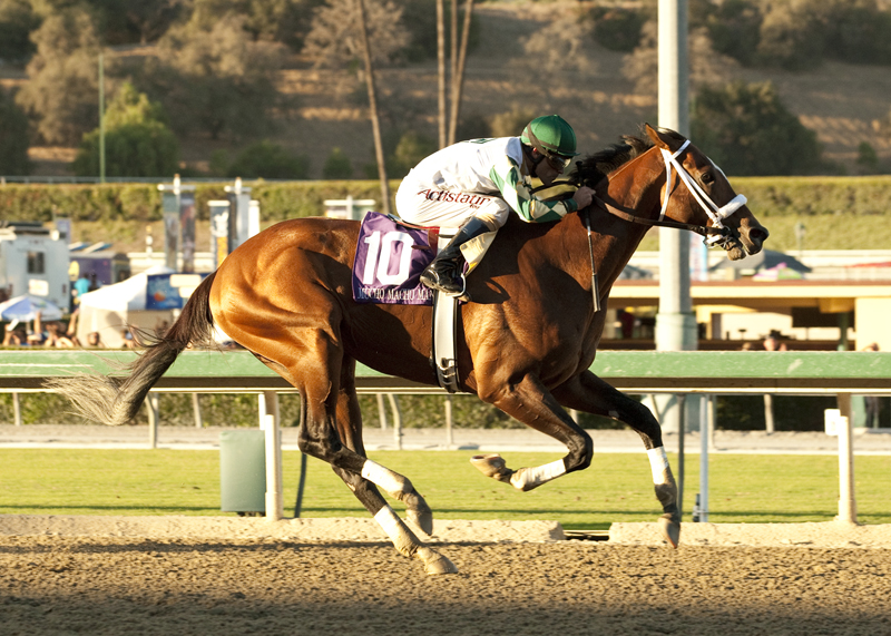 Mucho Macho Man