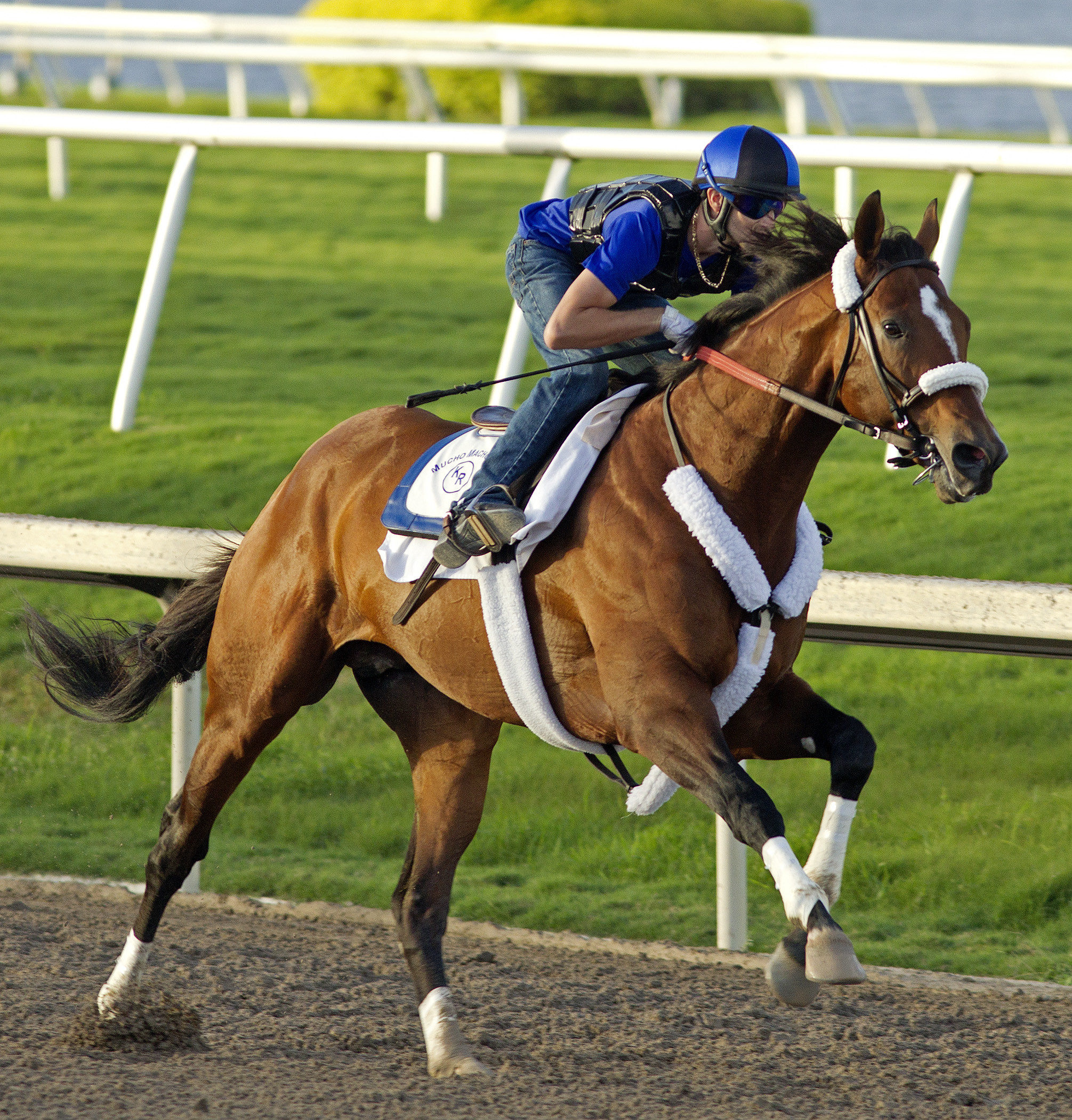 Mucho Macho Man