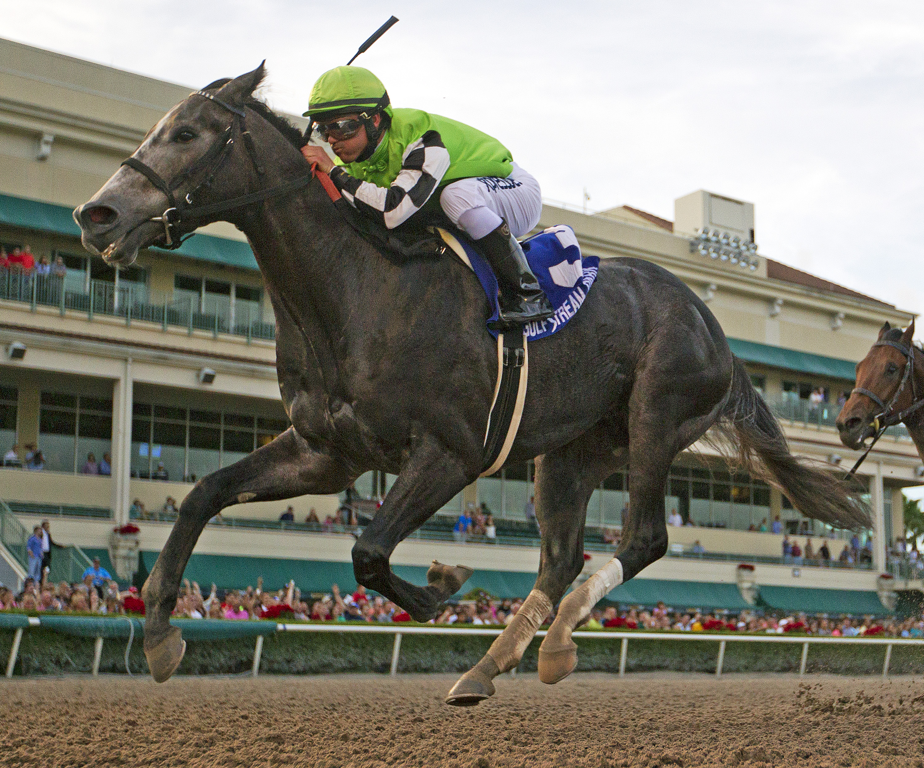 Bluegrass Singer wins 2015 Mucho Macho Man