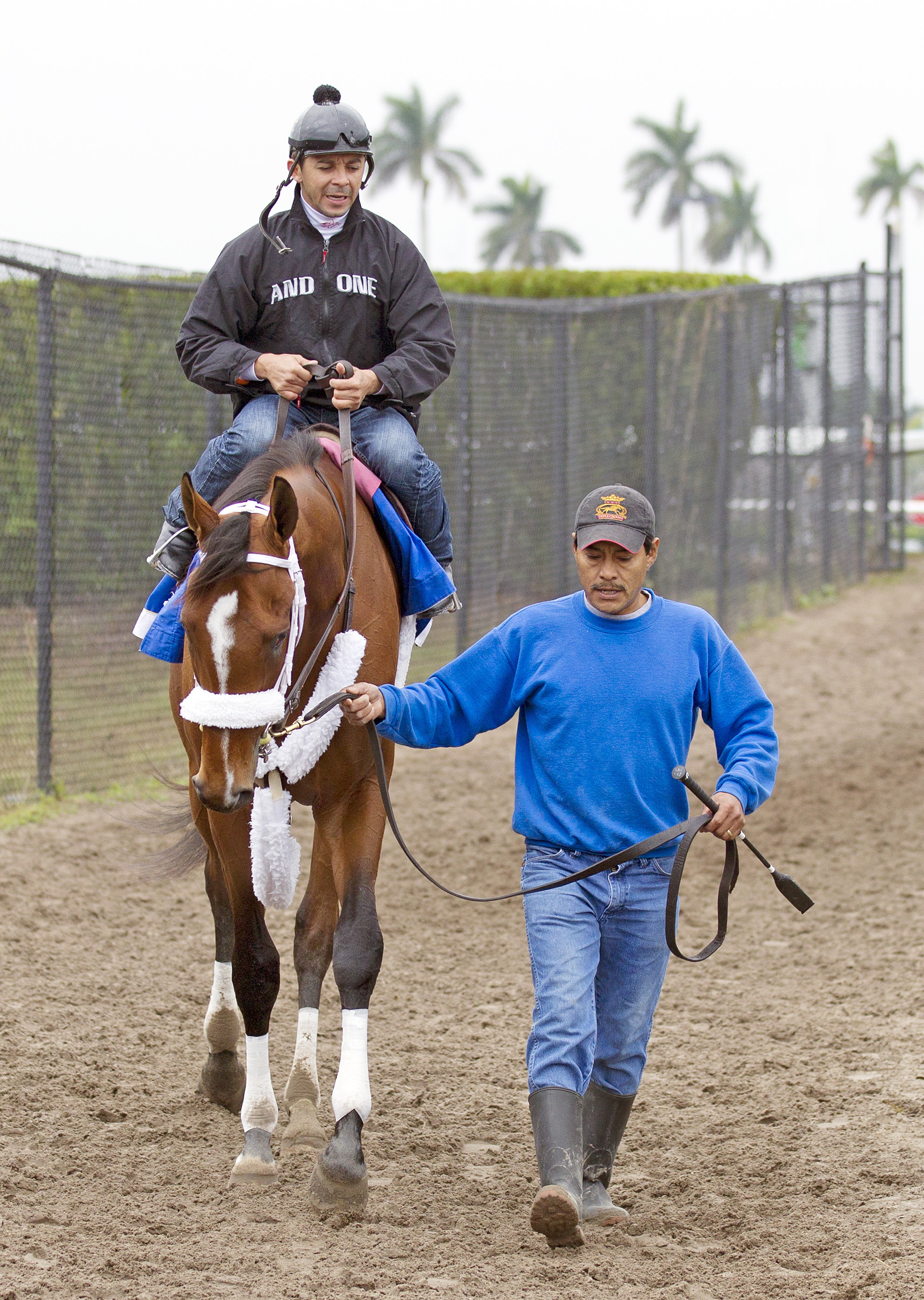 Mucho Macho Man - Feb. 12, 2011
