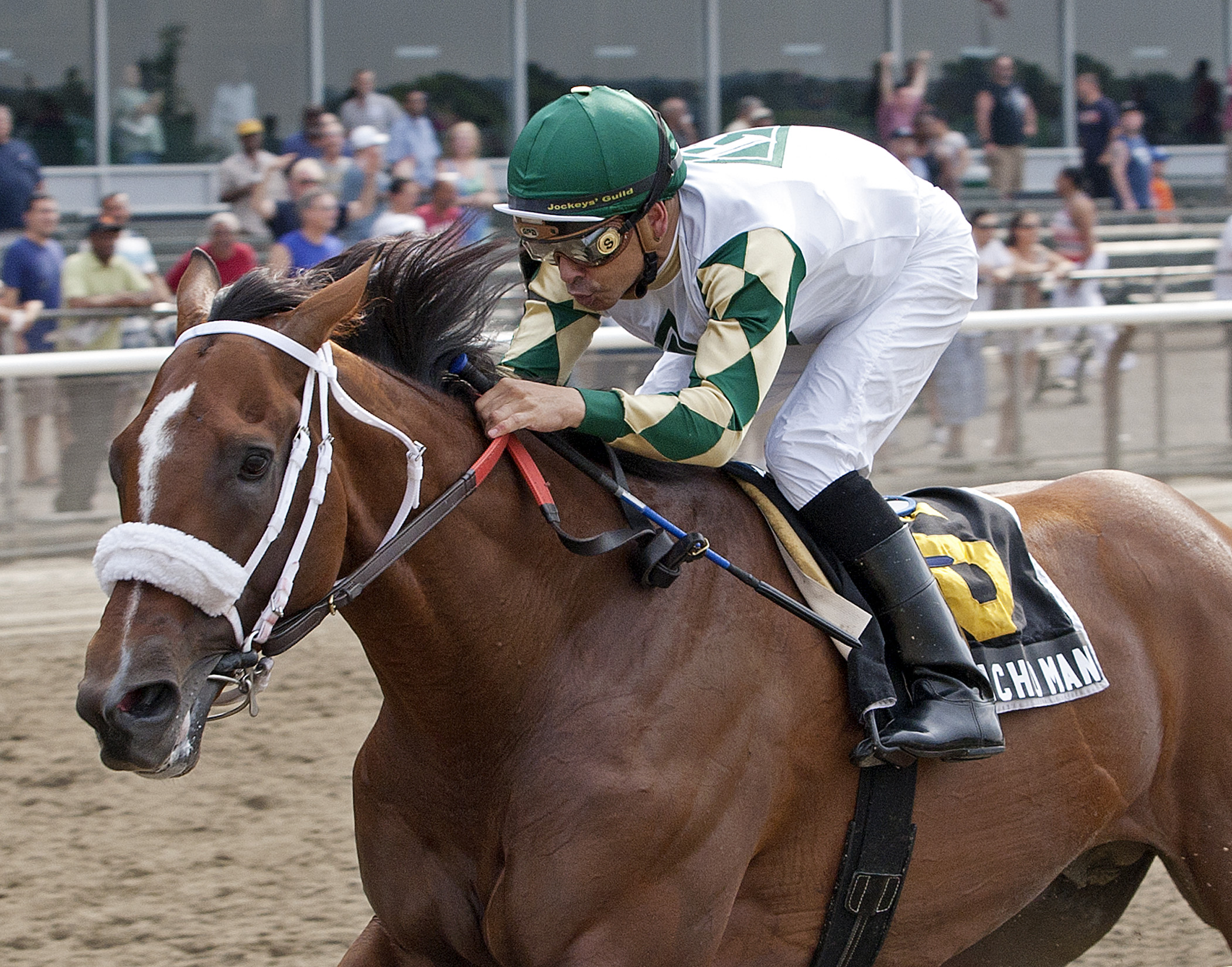 Mucho Macho Man/Suburban