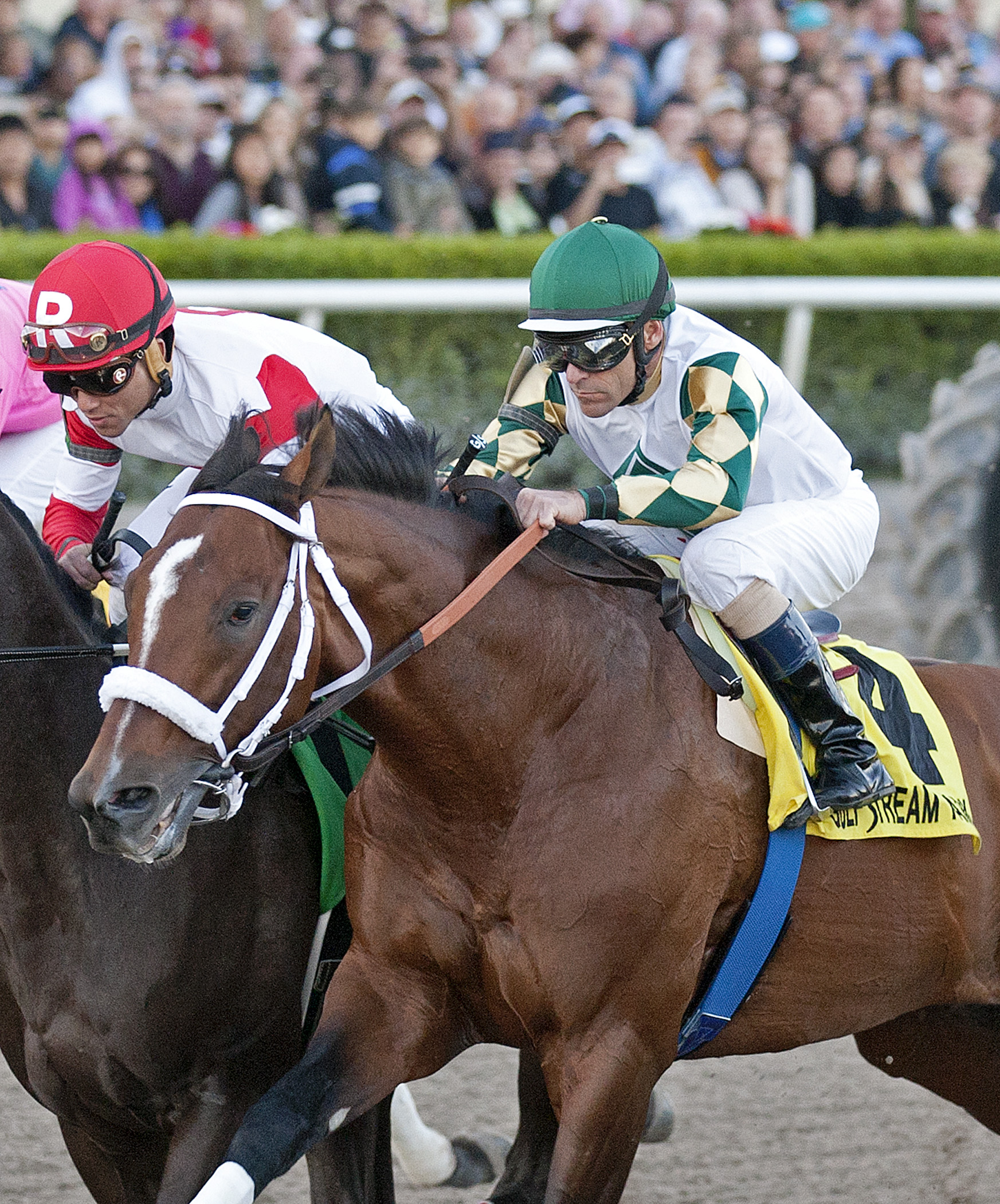 Mucho Macho Man, Jan. 18, 2014