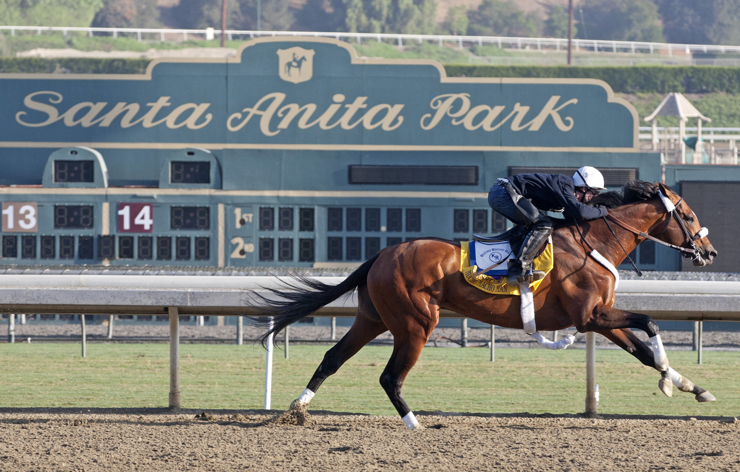 Mucho Macho Man at Santa Anita Park