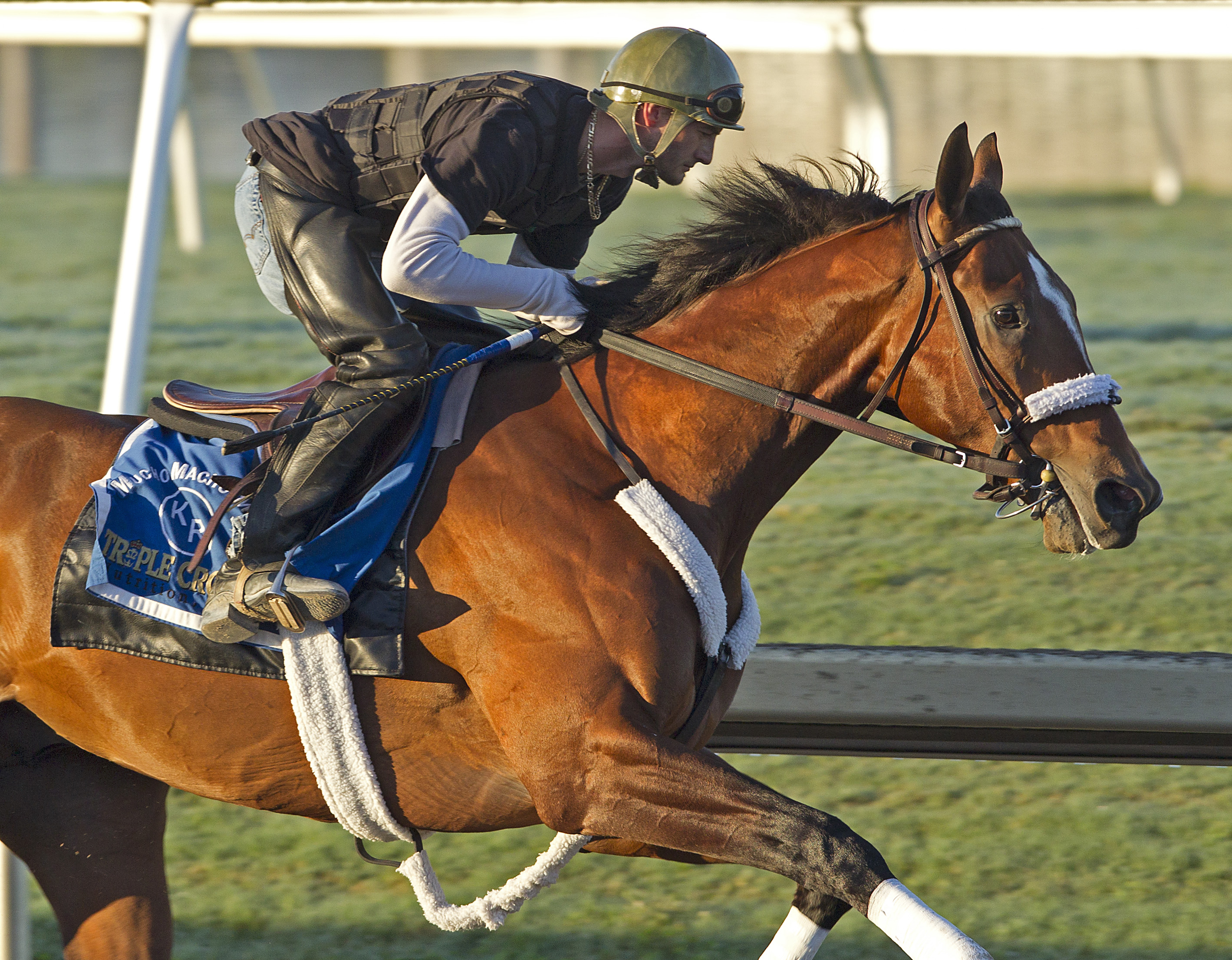 Mucho Macho Man