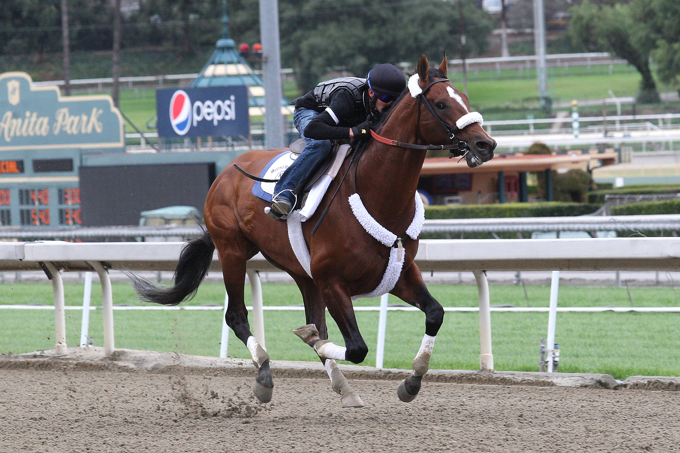 Mucho Macho Man training on March 2