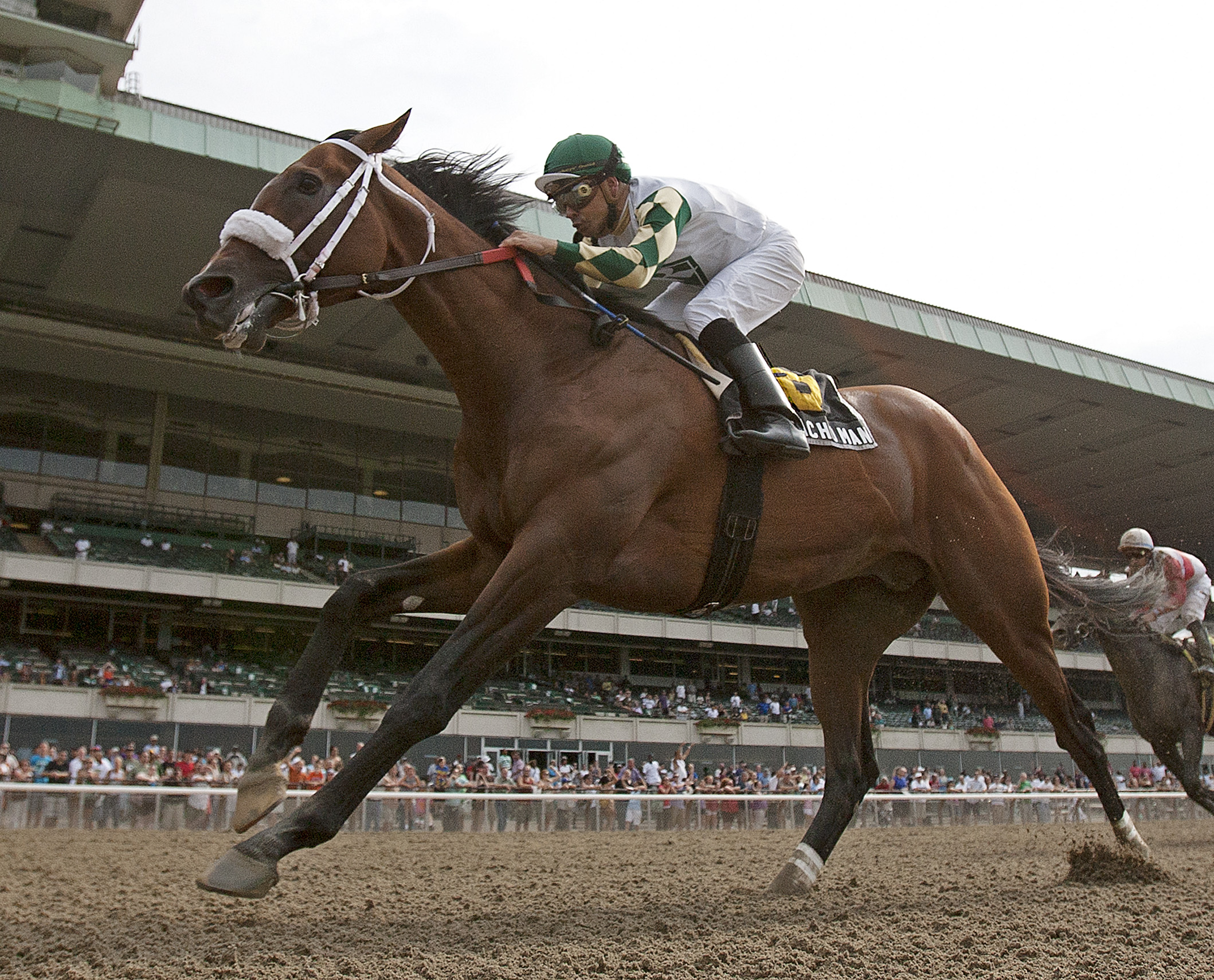 Mucho Macho Man, Suburban