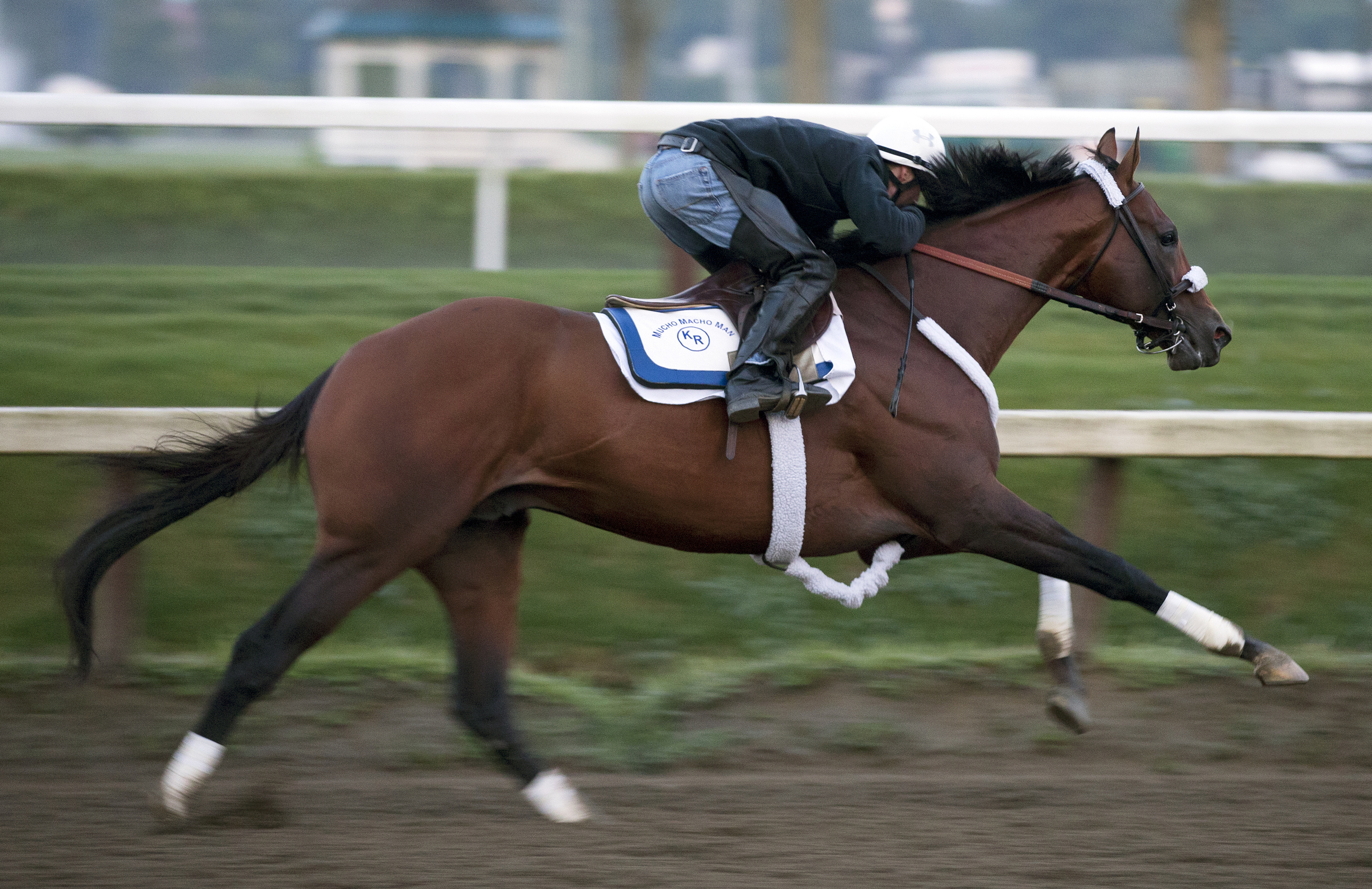 Mucho Macho Man, Aug. 17, 2013