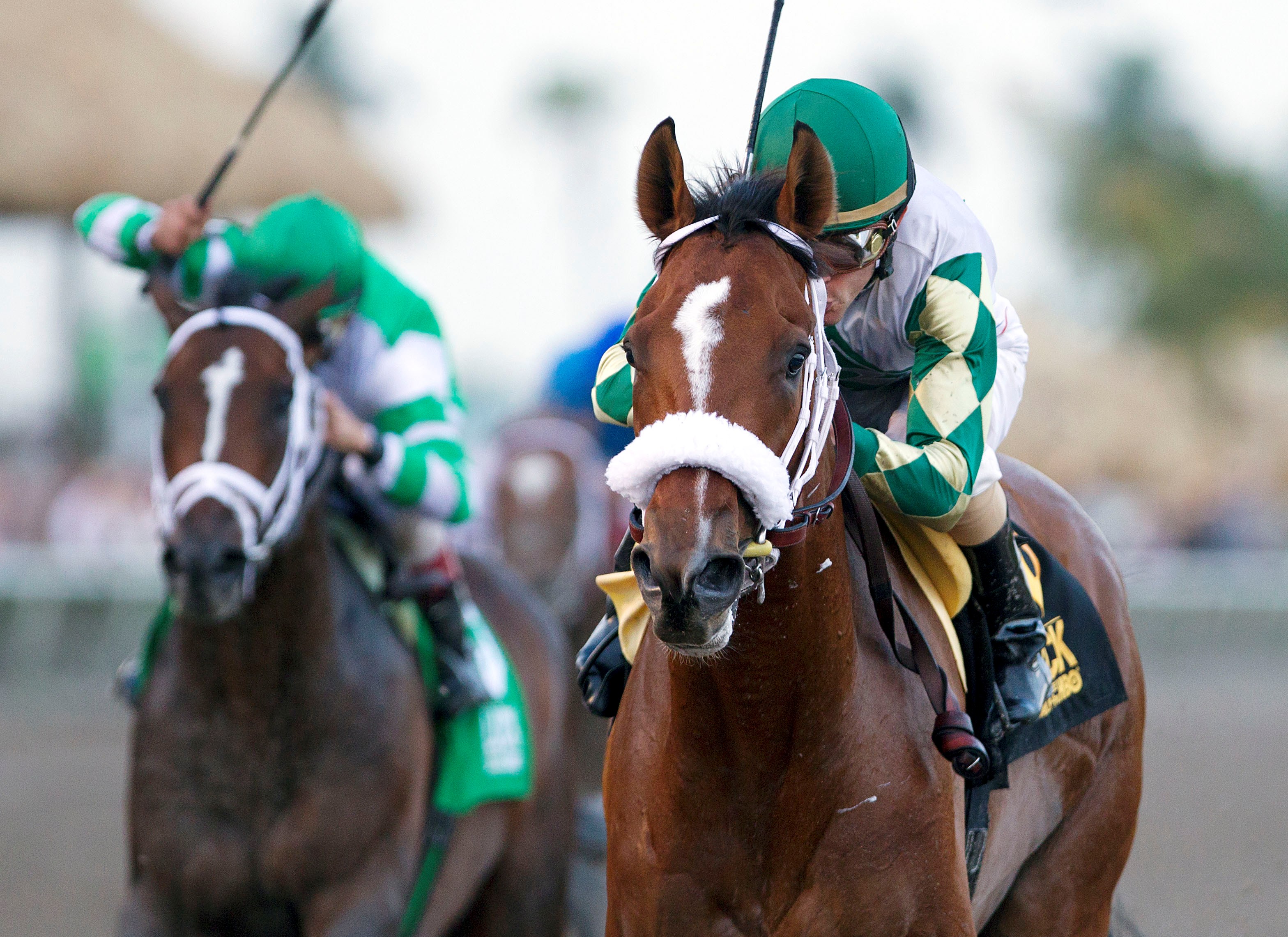 Mucho Macho Man/Sunshine Millions Classic