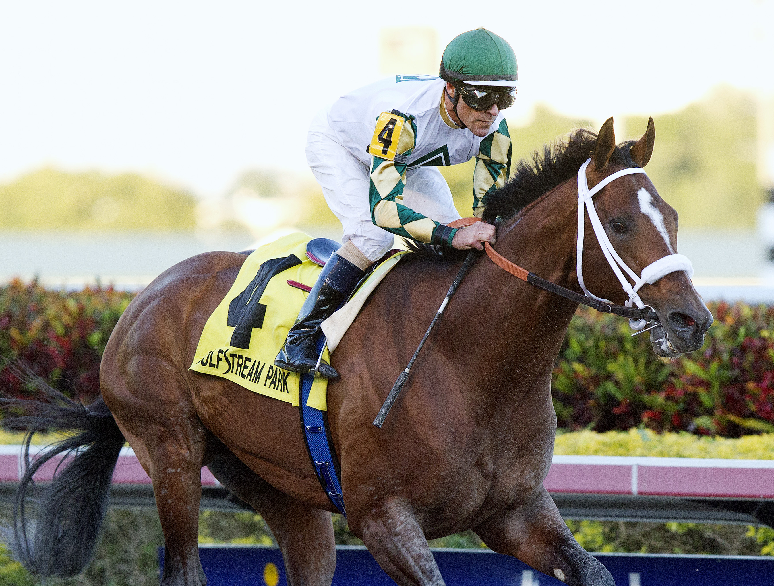 Mucho Macho Man