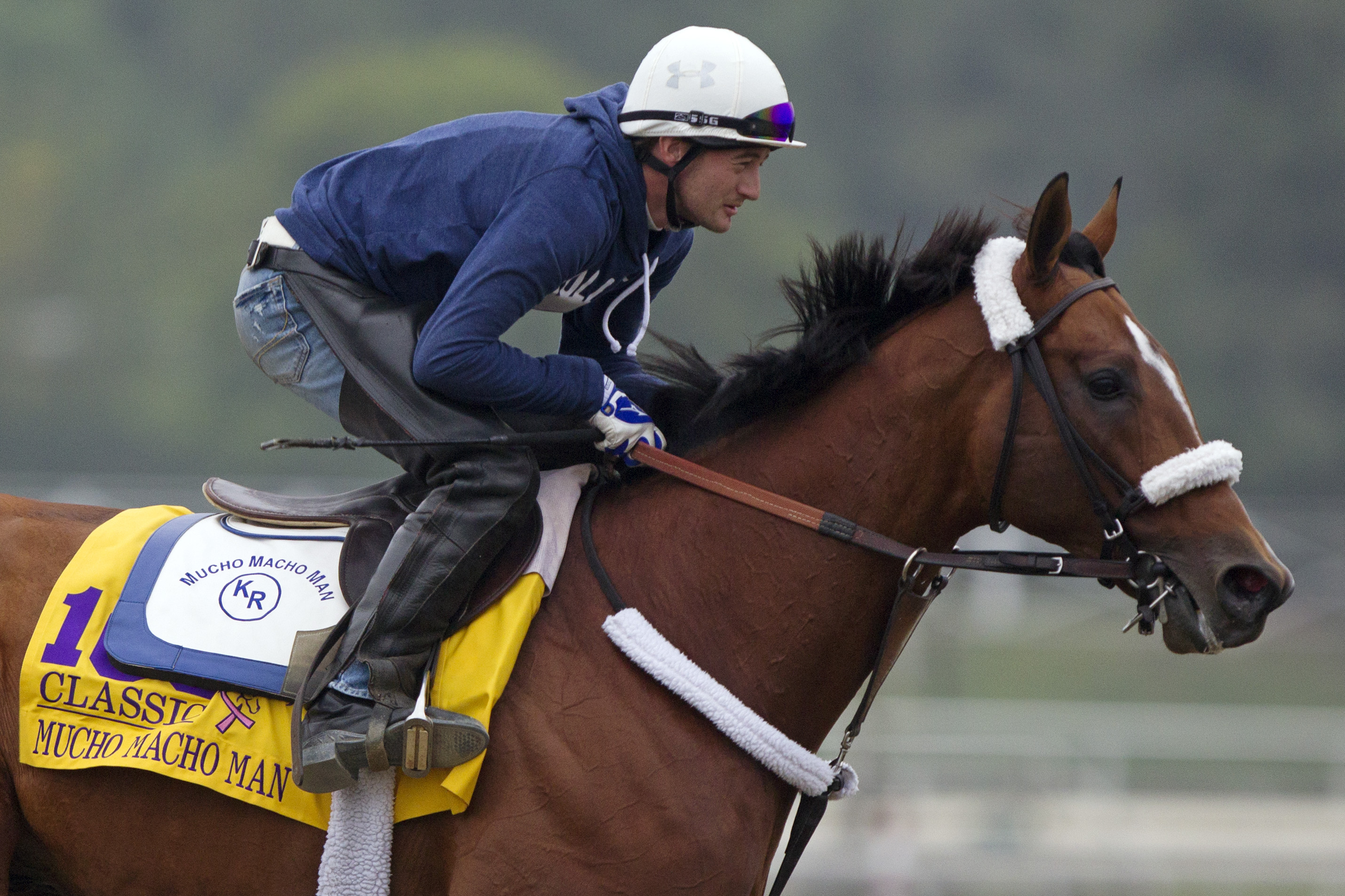 Mucho Macho Man trains at Santa Anita