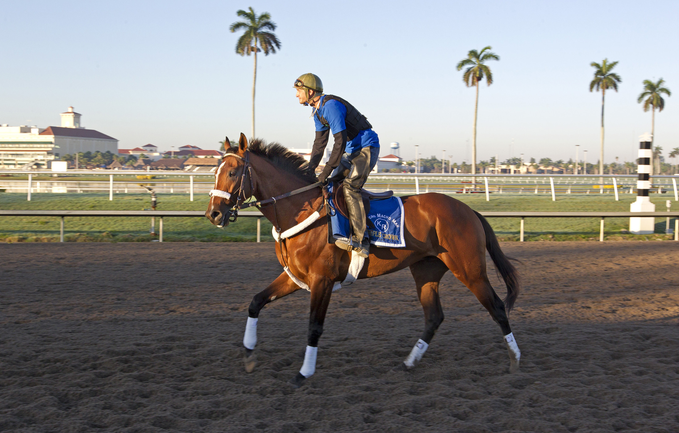 Mucho Macho Man