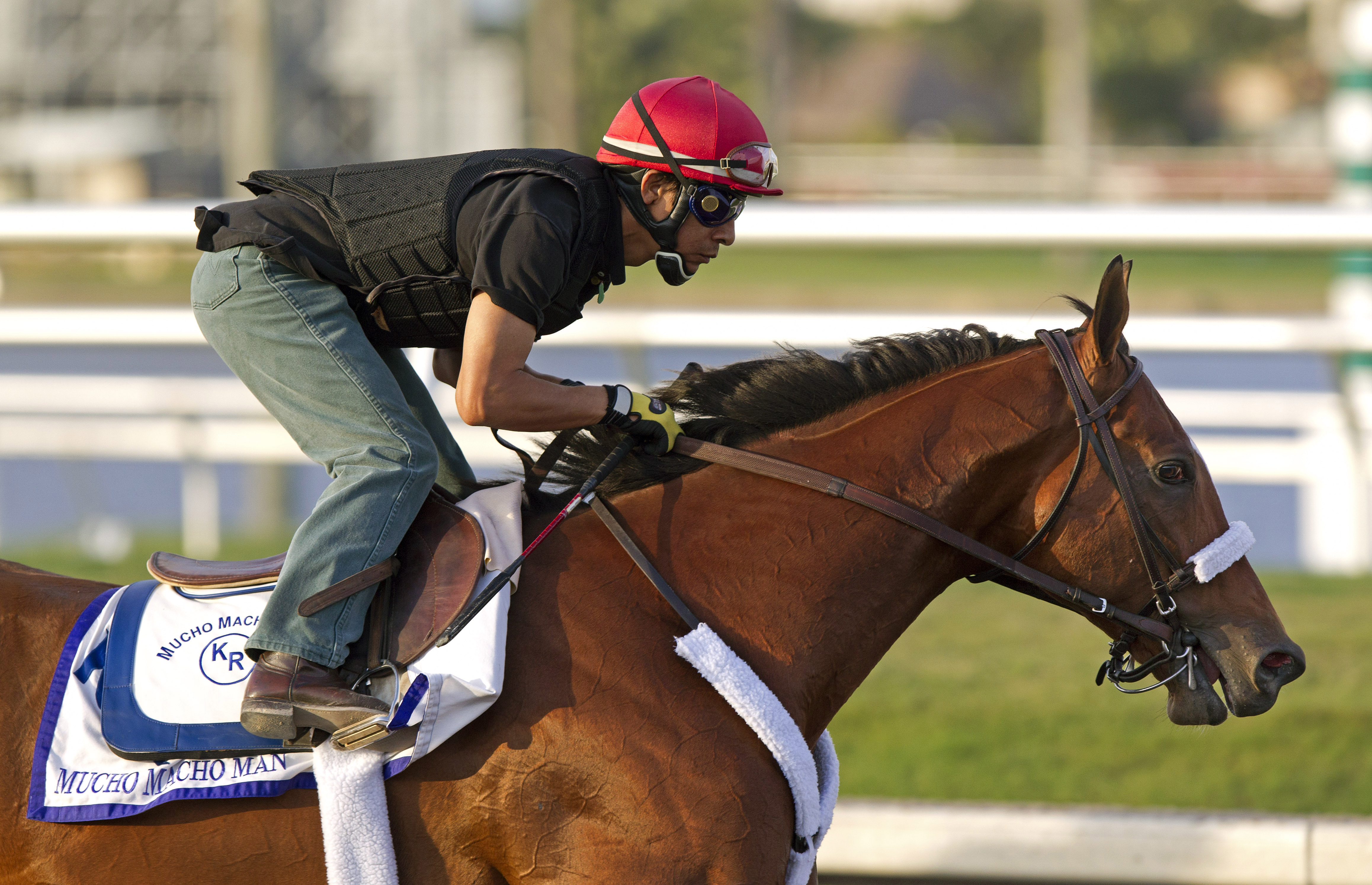 Mucho Macho Man