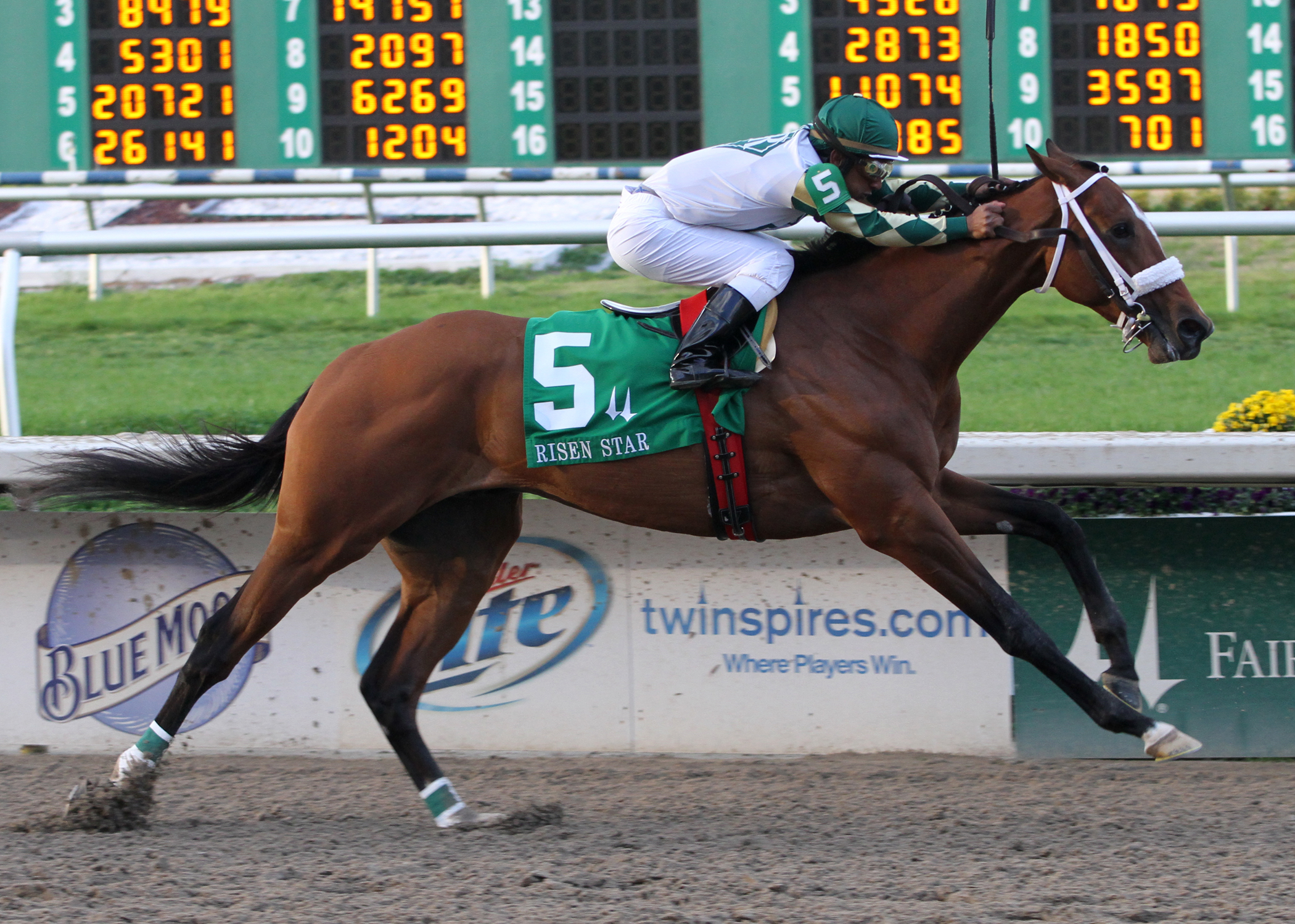 Mucho Macho Man/Risen Star