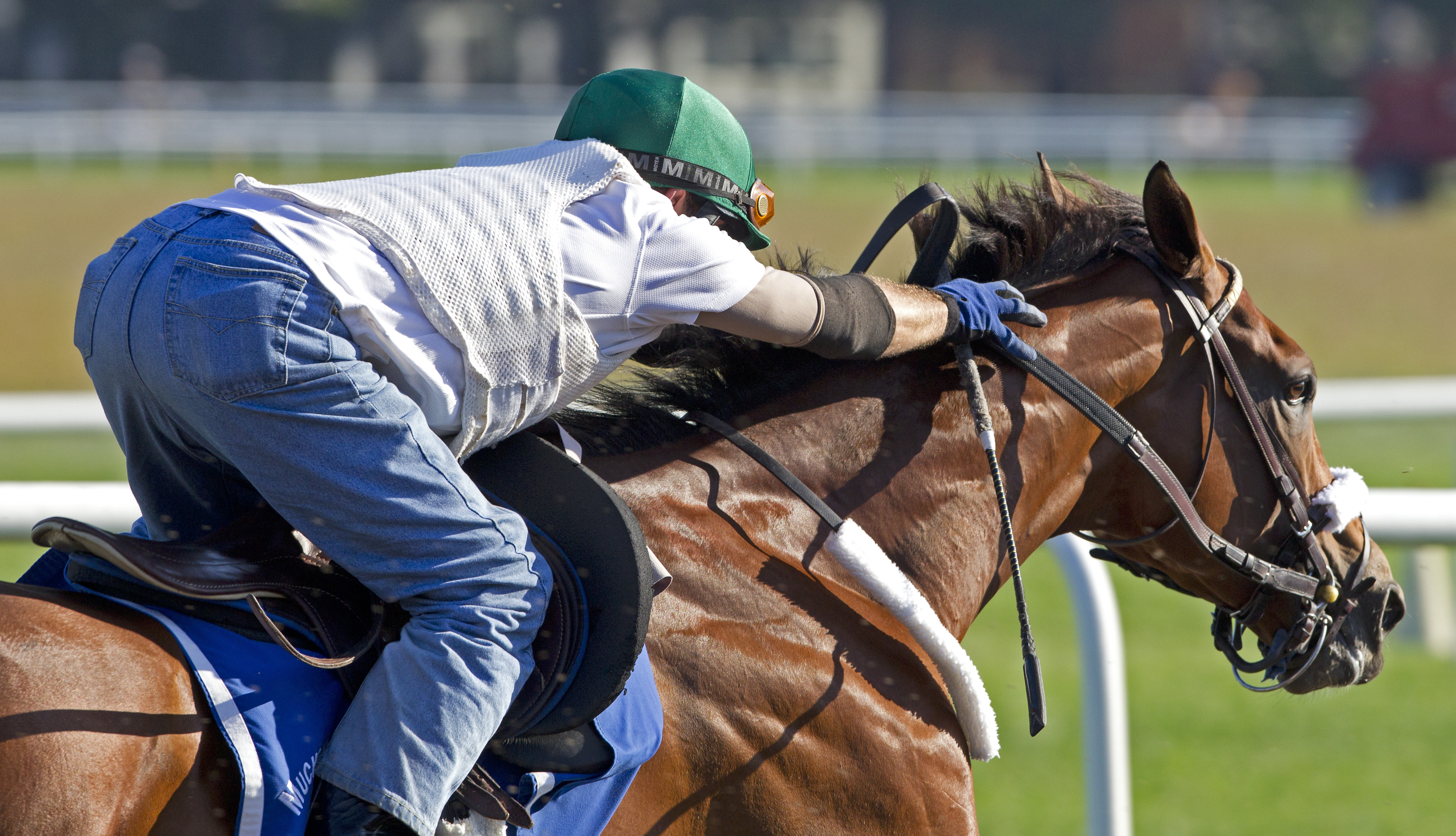 Mucho Macho Man