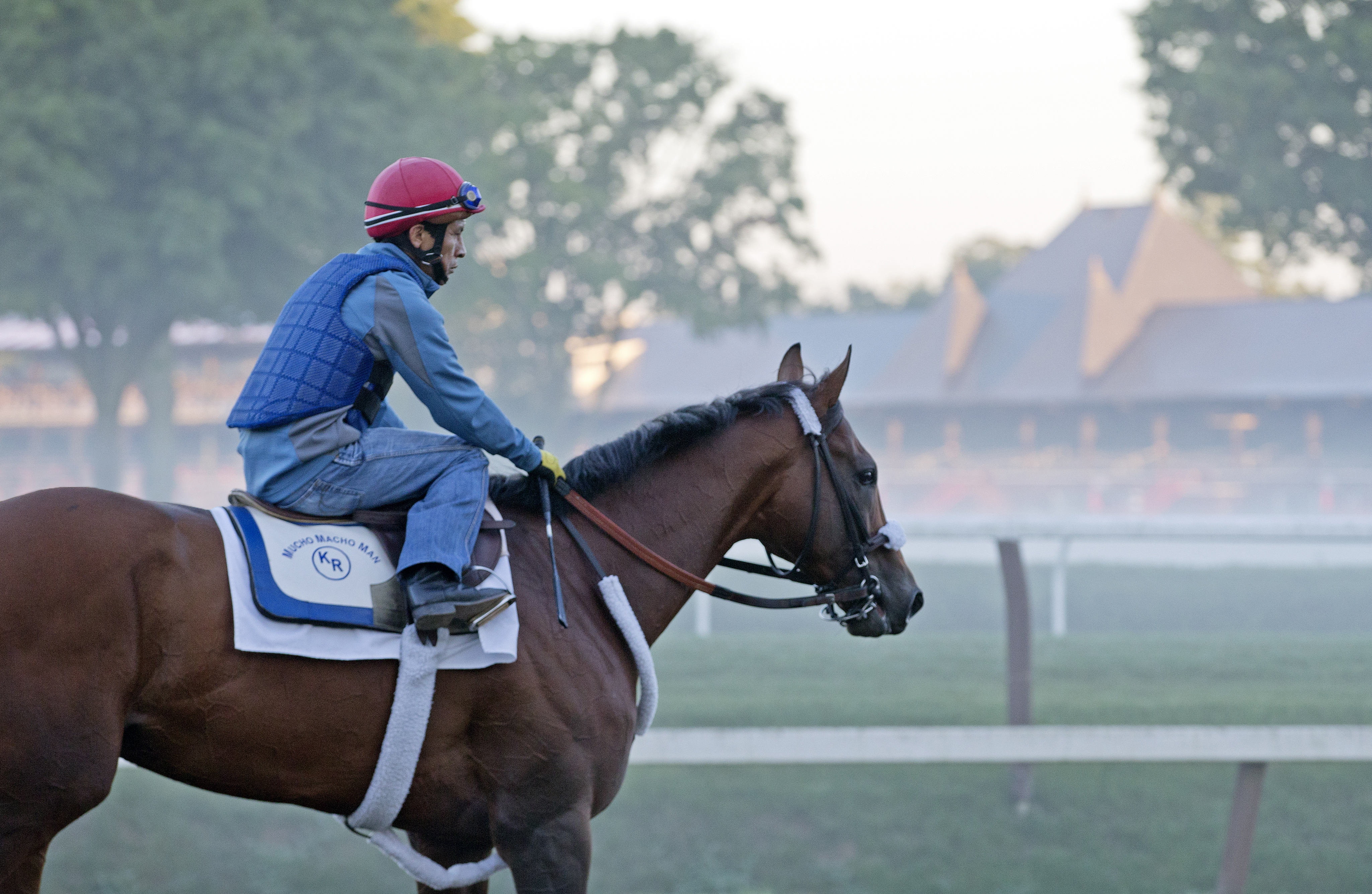 Mucho Macho Man