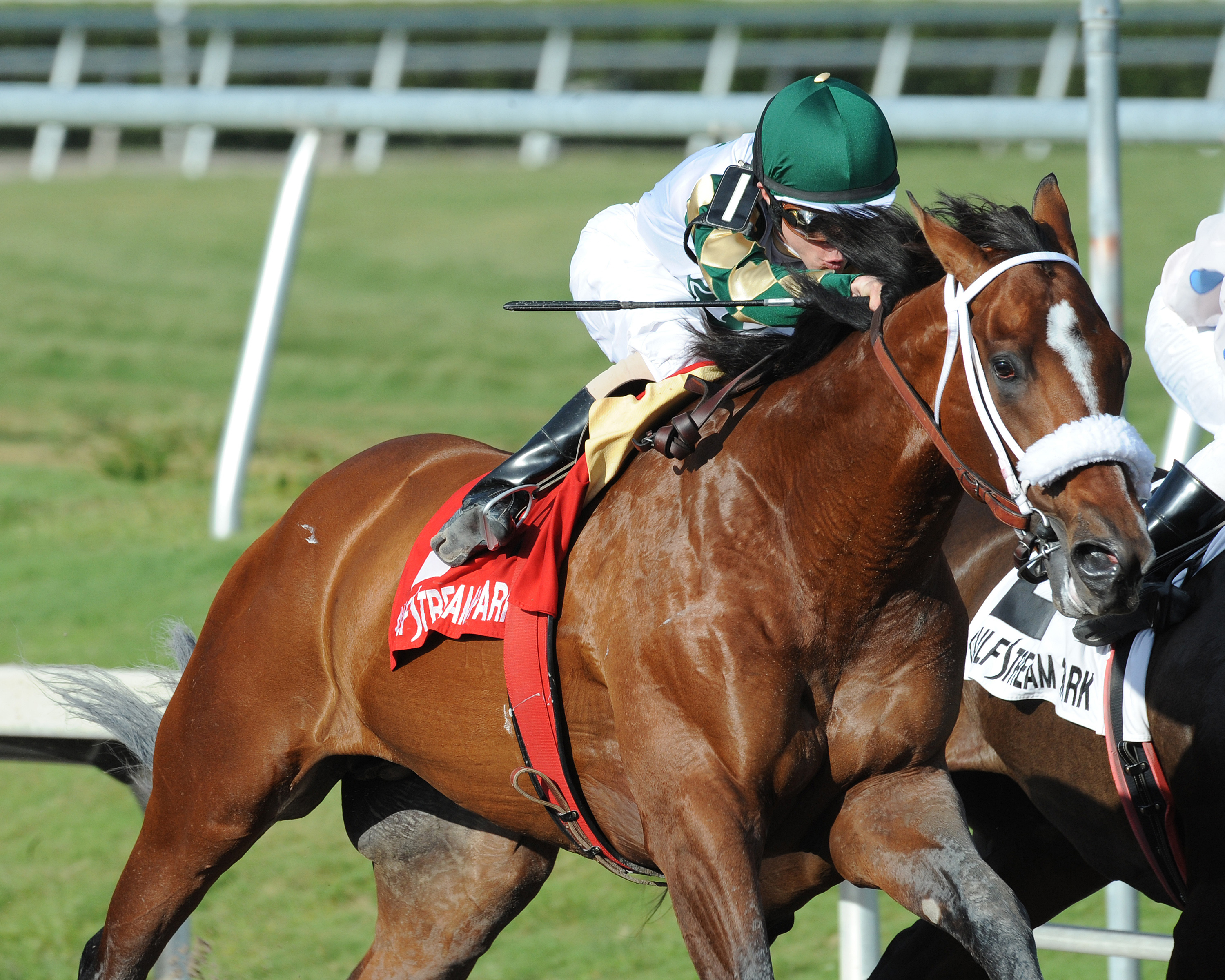 Mucho Macho Man/Gulfstream Park Handicap