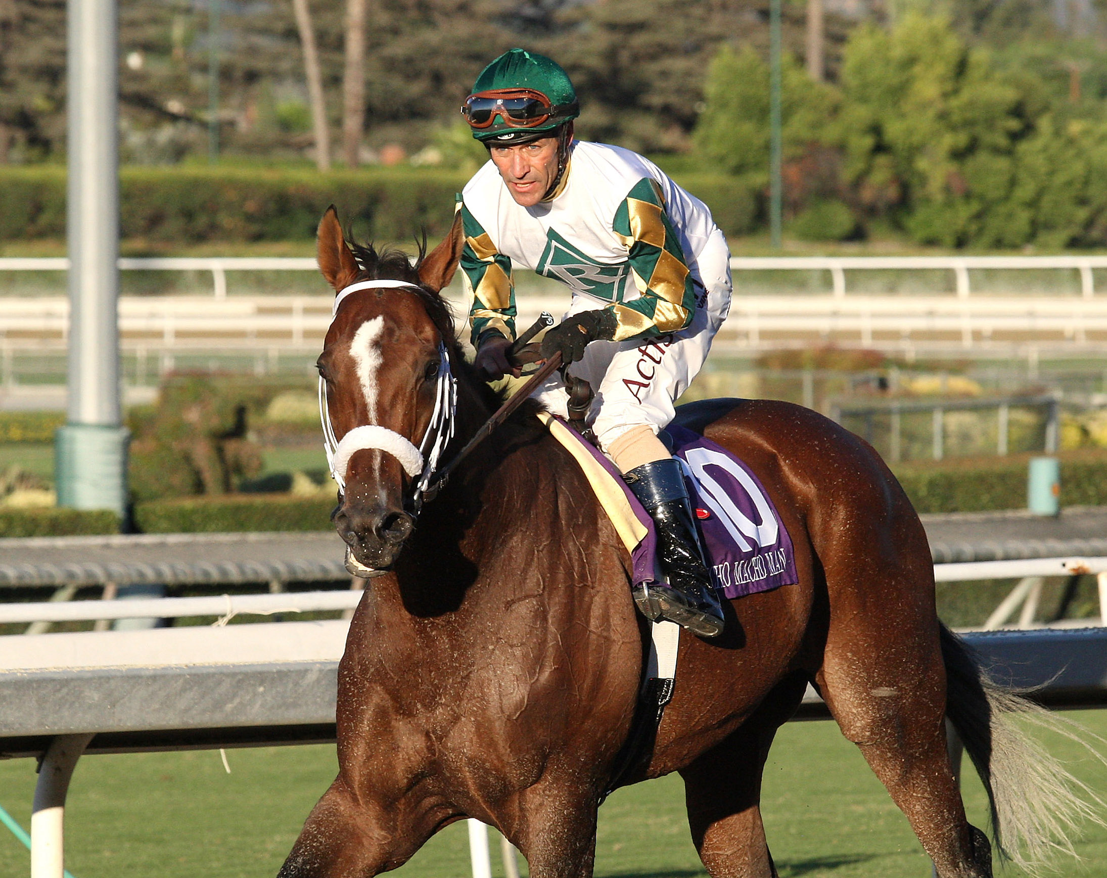 Mucho Macho Man
