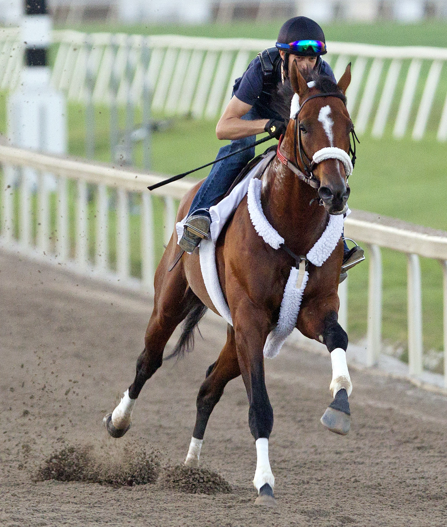 Mucho Macho Man 2-22-2014