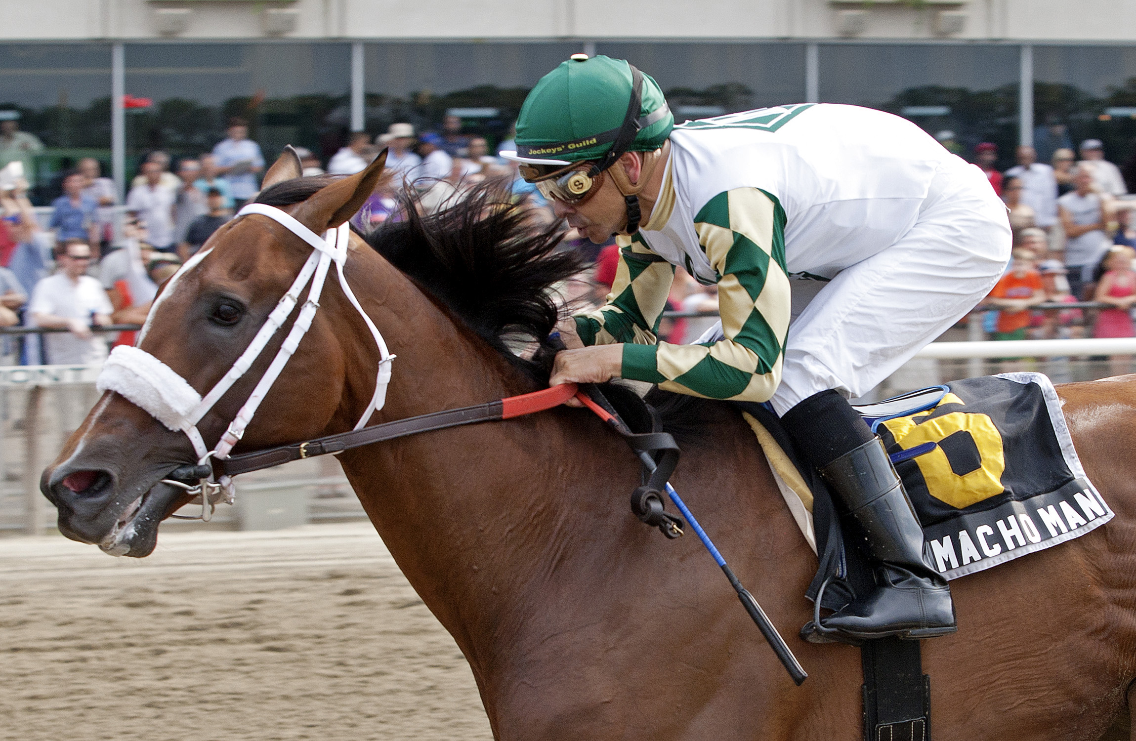 Mucho Macho Man/Suburban Handicap