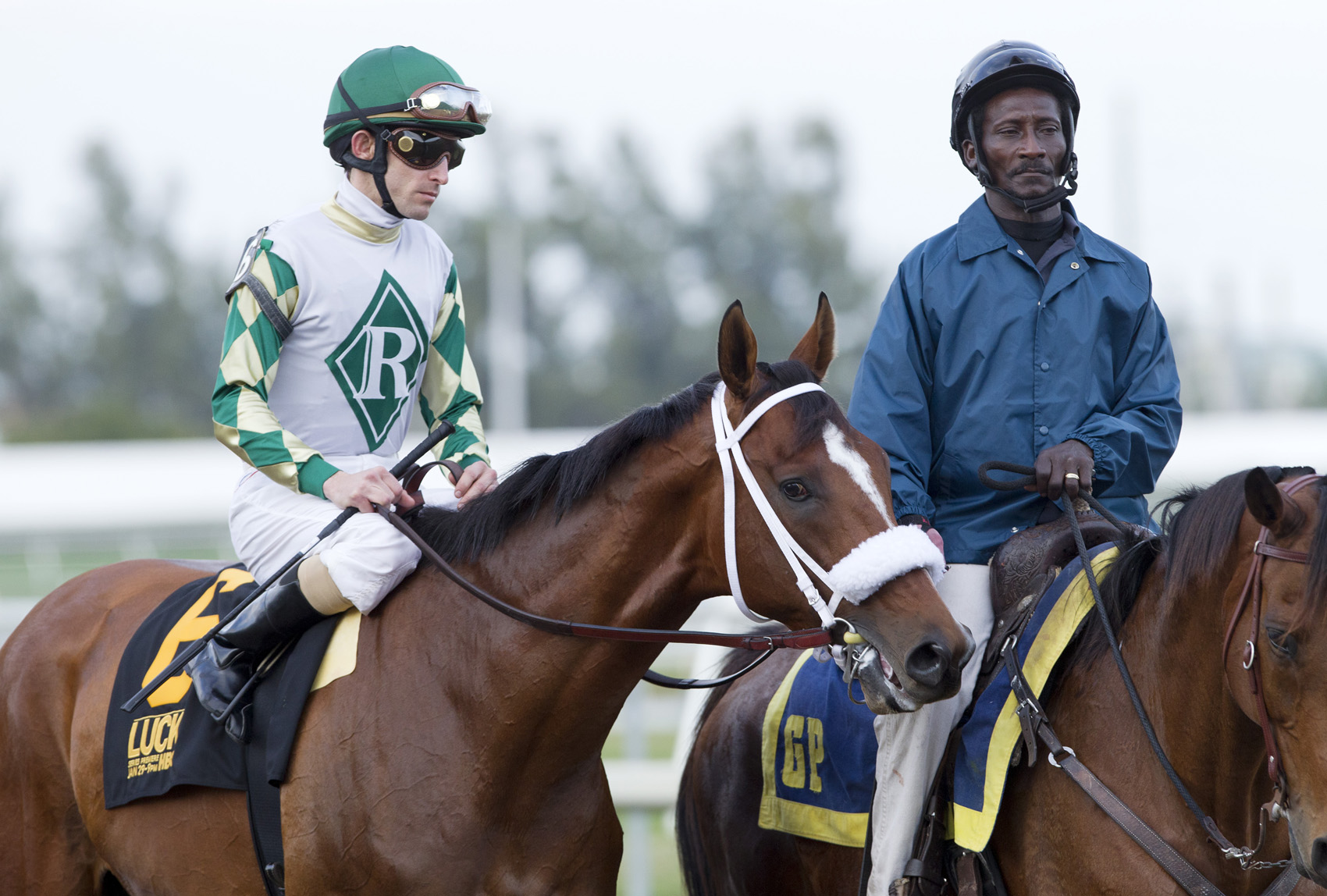 Mucho Macho Man