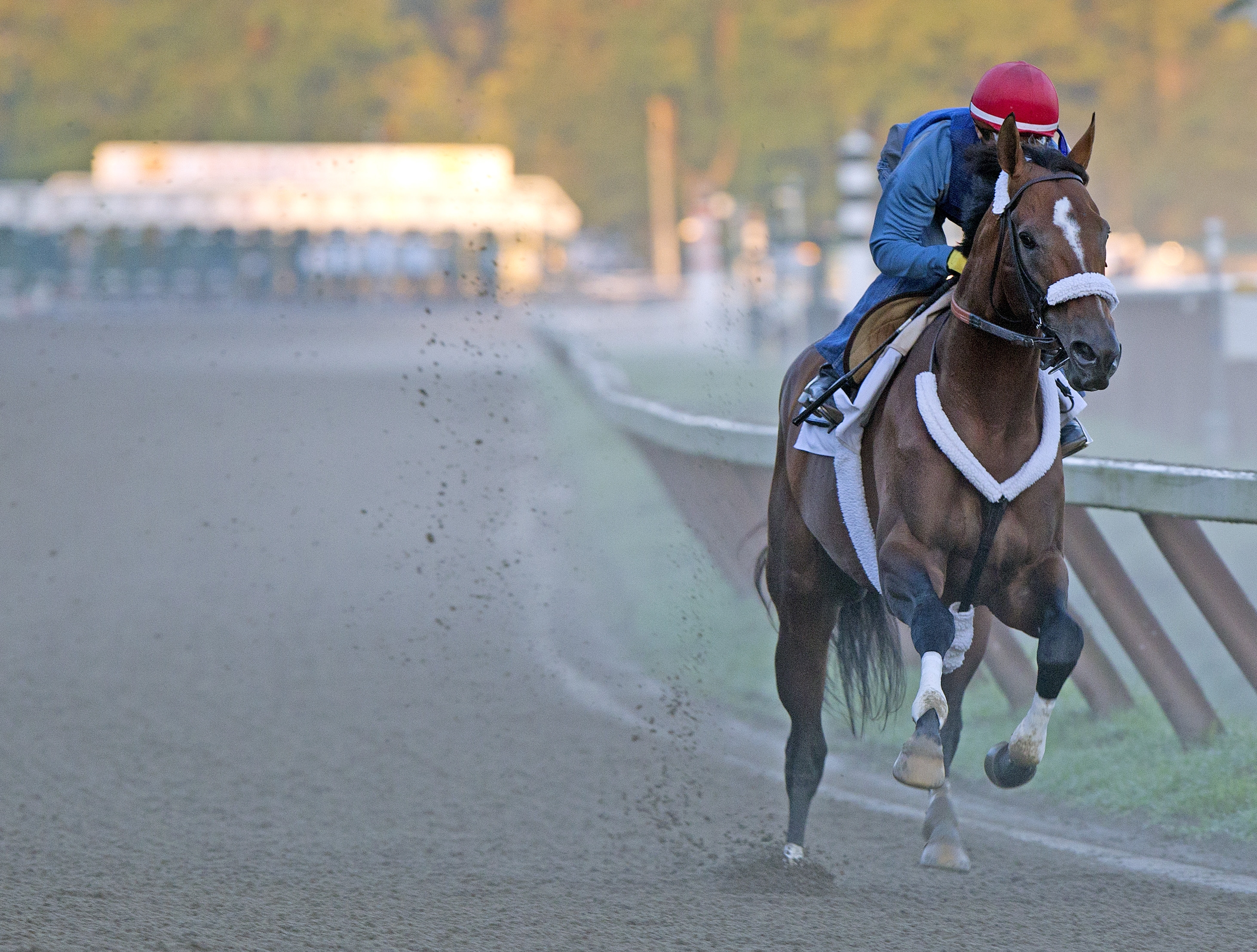 Mucho Macho Man