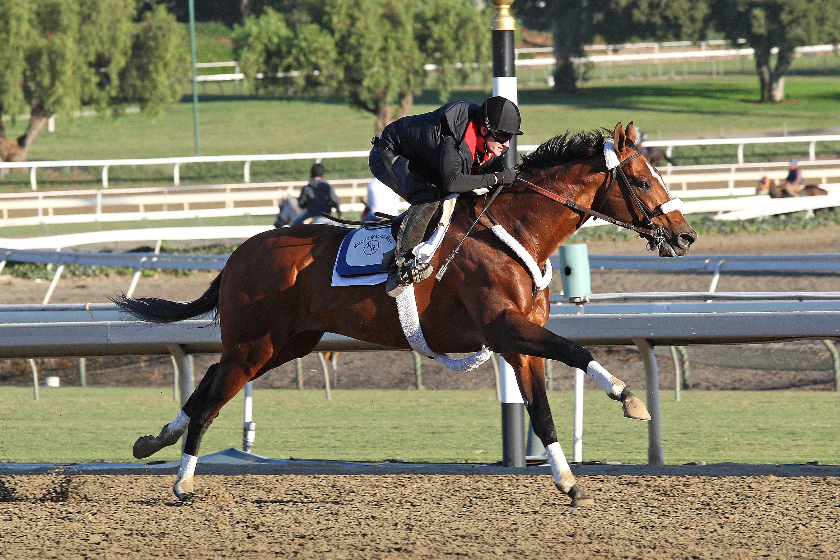Mucho Macho Man