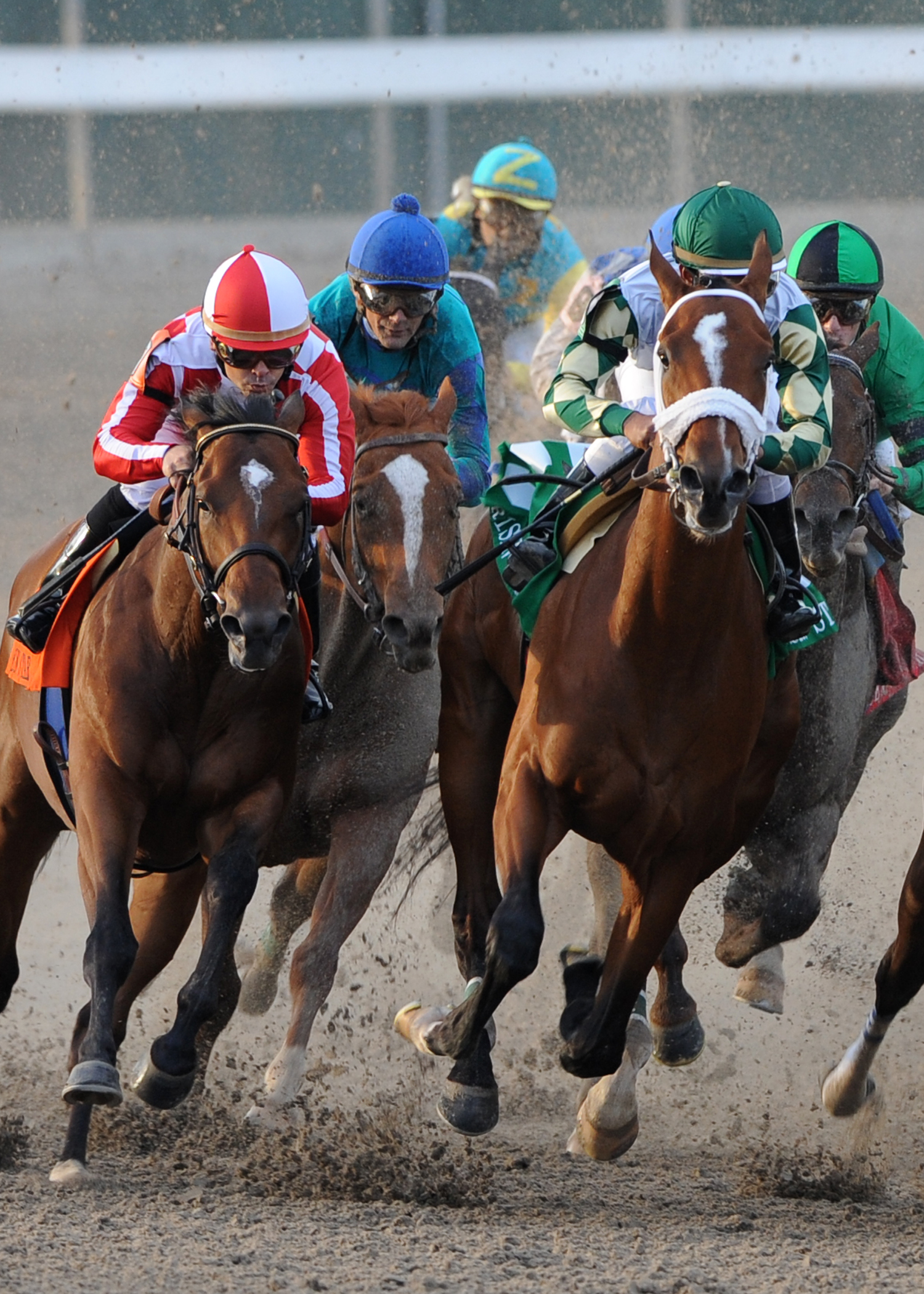 Mucho Macho Man 2-19-2011