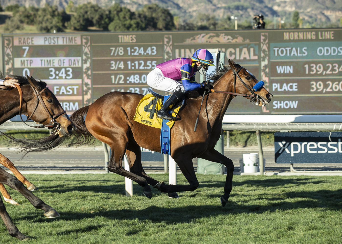 Mucho Unusual, Megahertz