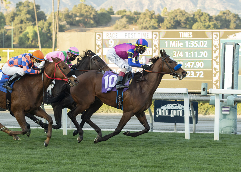 Mucho Unusual wins Frankel Stakes 12-27-2020