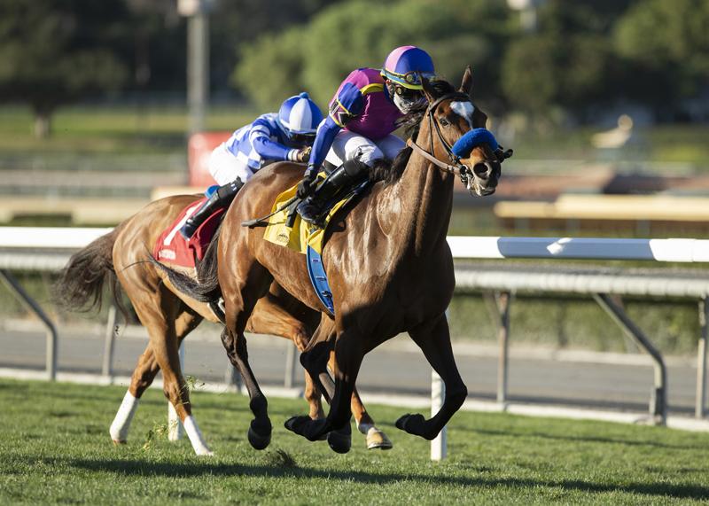 Mucho Unusual - Megahertz Stakes G3