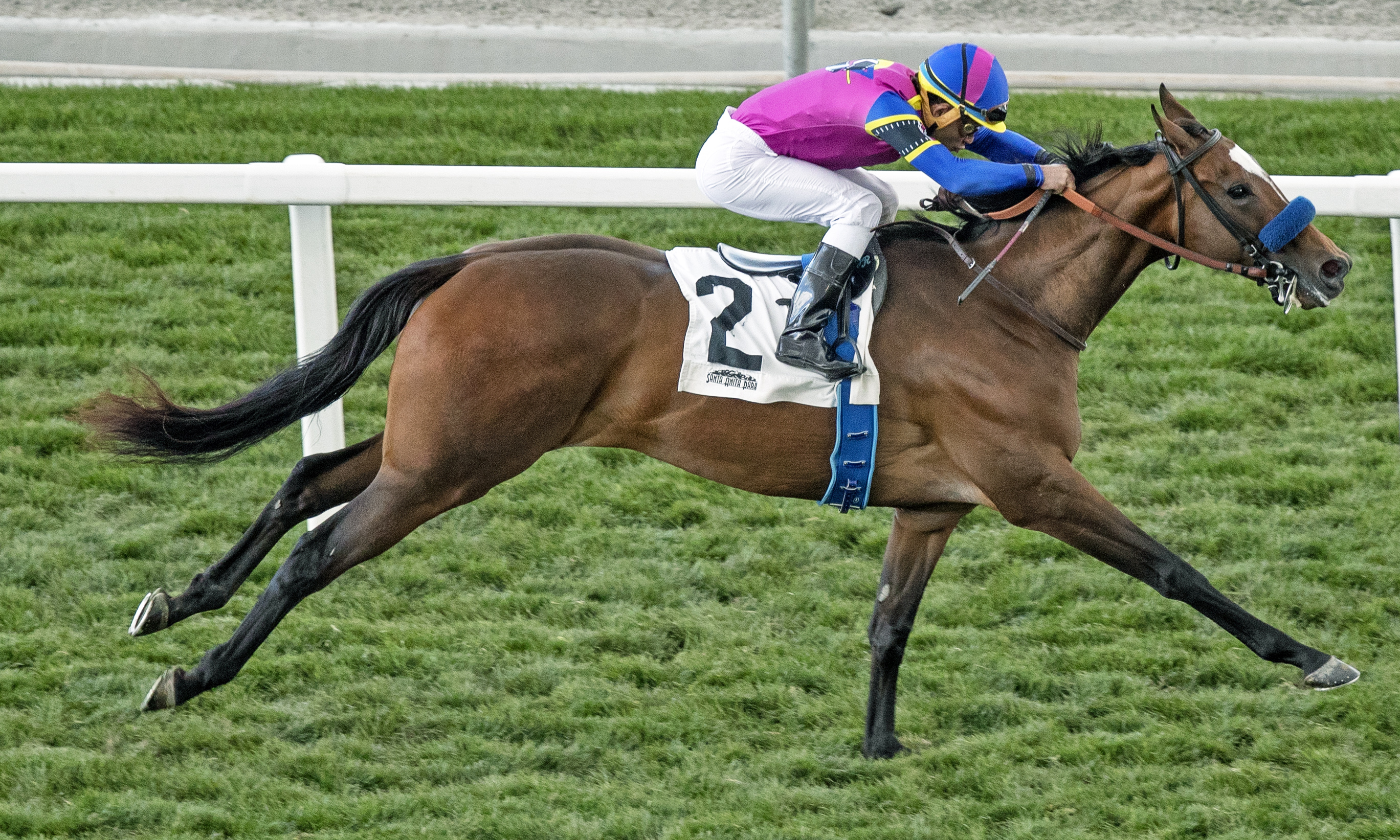 Mucho Unusual wins 2019 California Cup Oaks