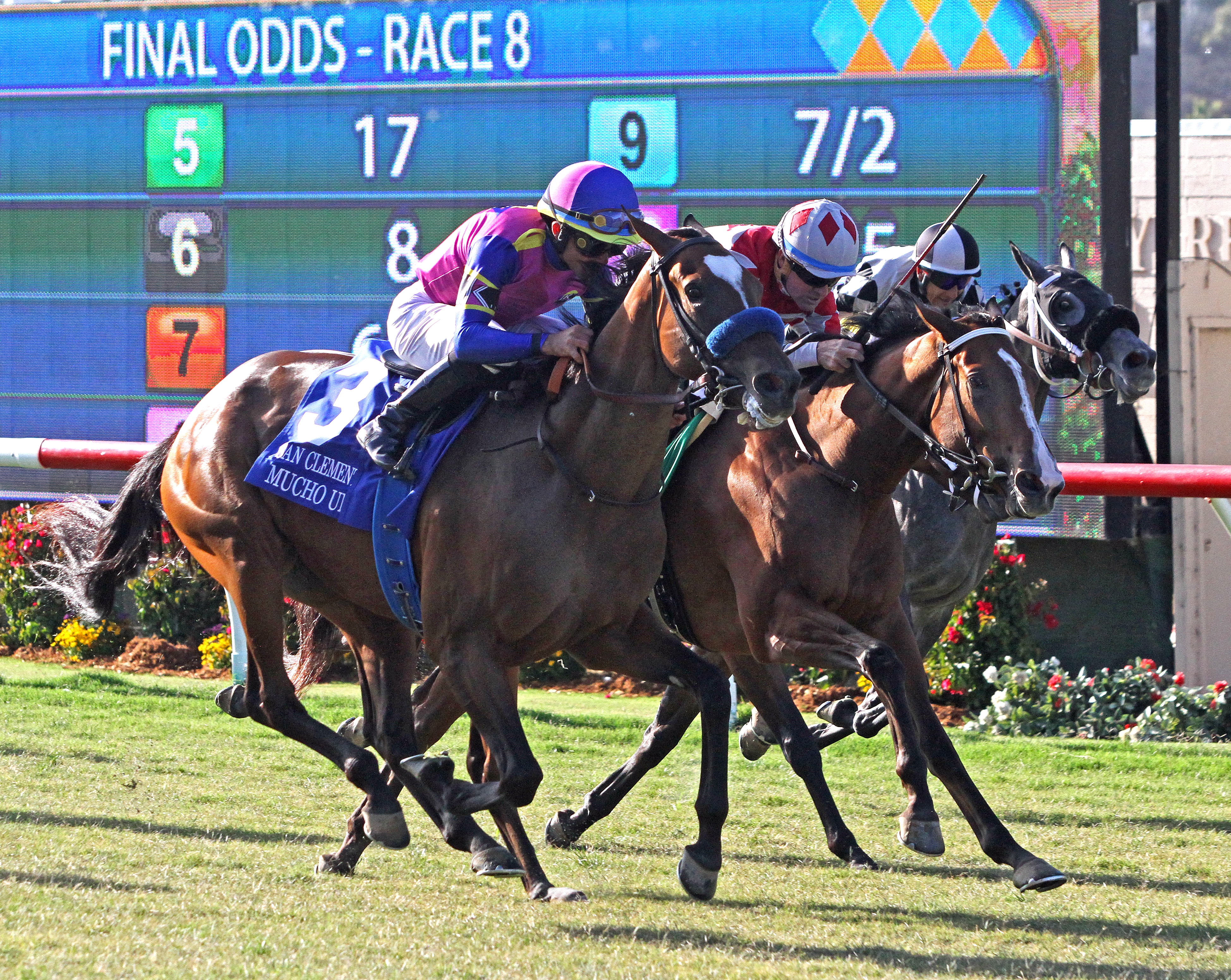 Mucho Unusual (outside) wins the 2019 San Clemente Stakes