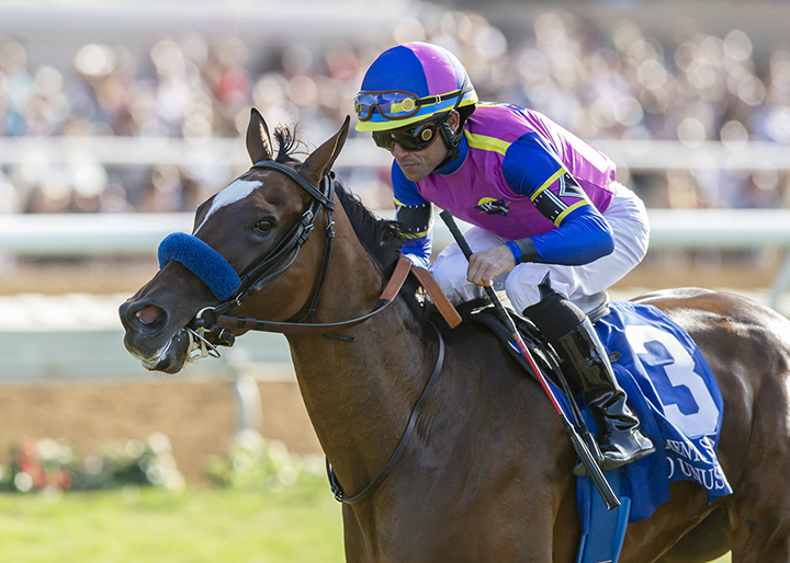 Mucho Unusual wins the 2019 San Clemente at Del Mar