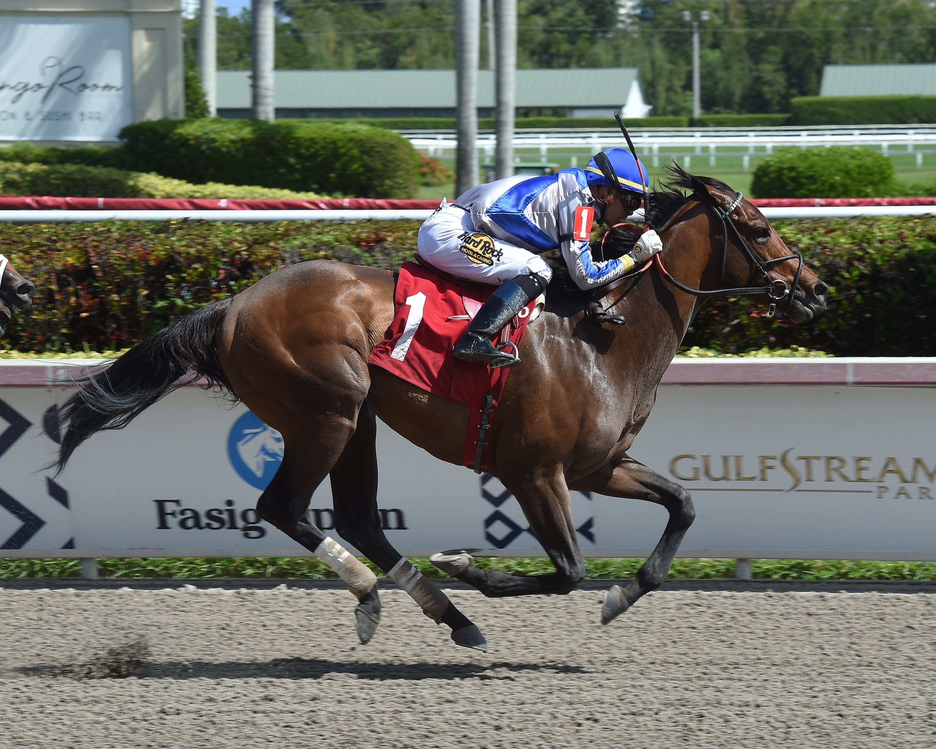 Mucho wins a March 1 allowance