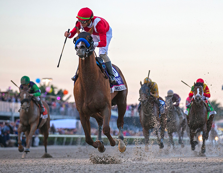 Mucho Gusto wins the 2020 Pegasus World Cup at Gulfstream Park