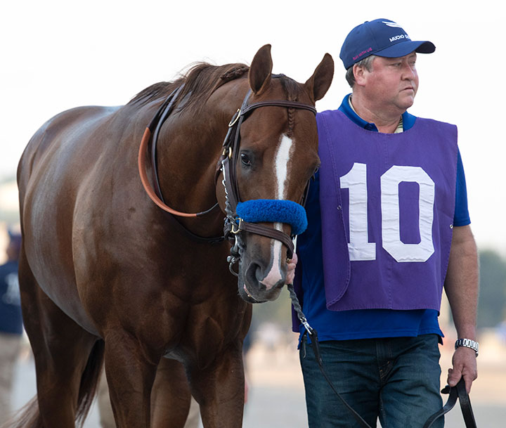 Mucho Gusto at Gulfstream Park on Jan. 25