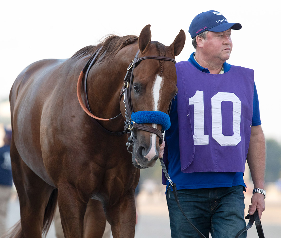 Mucho Gusto at Gulfstream Park in January 2020