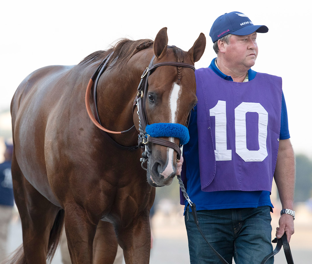 Mucho Gusto at the 2020 Pegasus World Cup