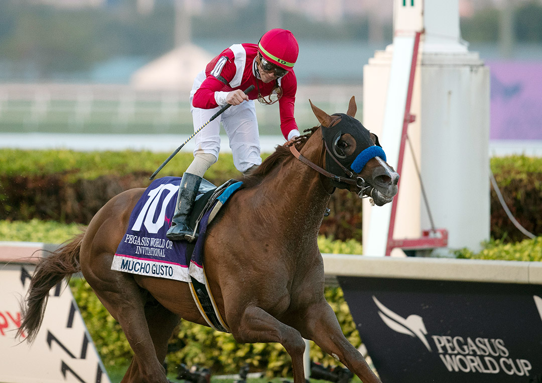 Mucho Gusto wins the 2020 Pegasus World Cup at Gulfstream Park