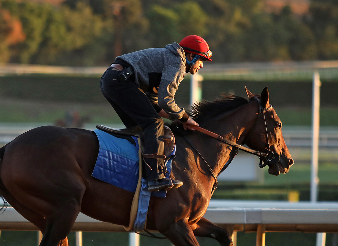 Mucho Unusual trains at Santa Anita Park on Oct. 1
